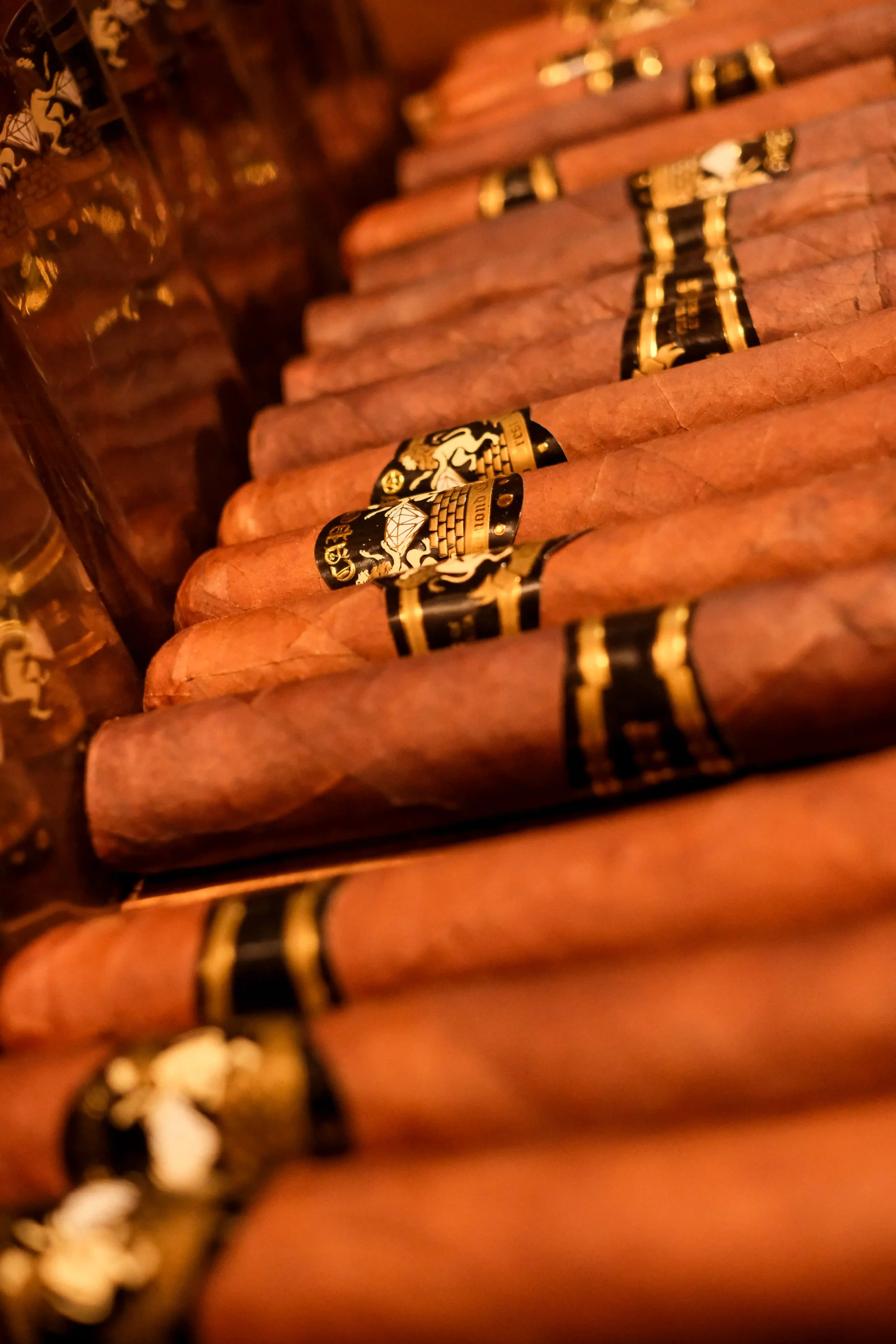 A close up view of premium Diamond Crest cigars lined up neatly on a wooden display shelf.