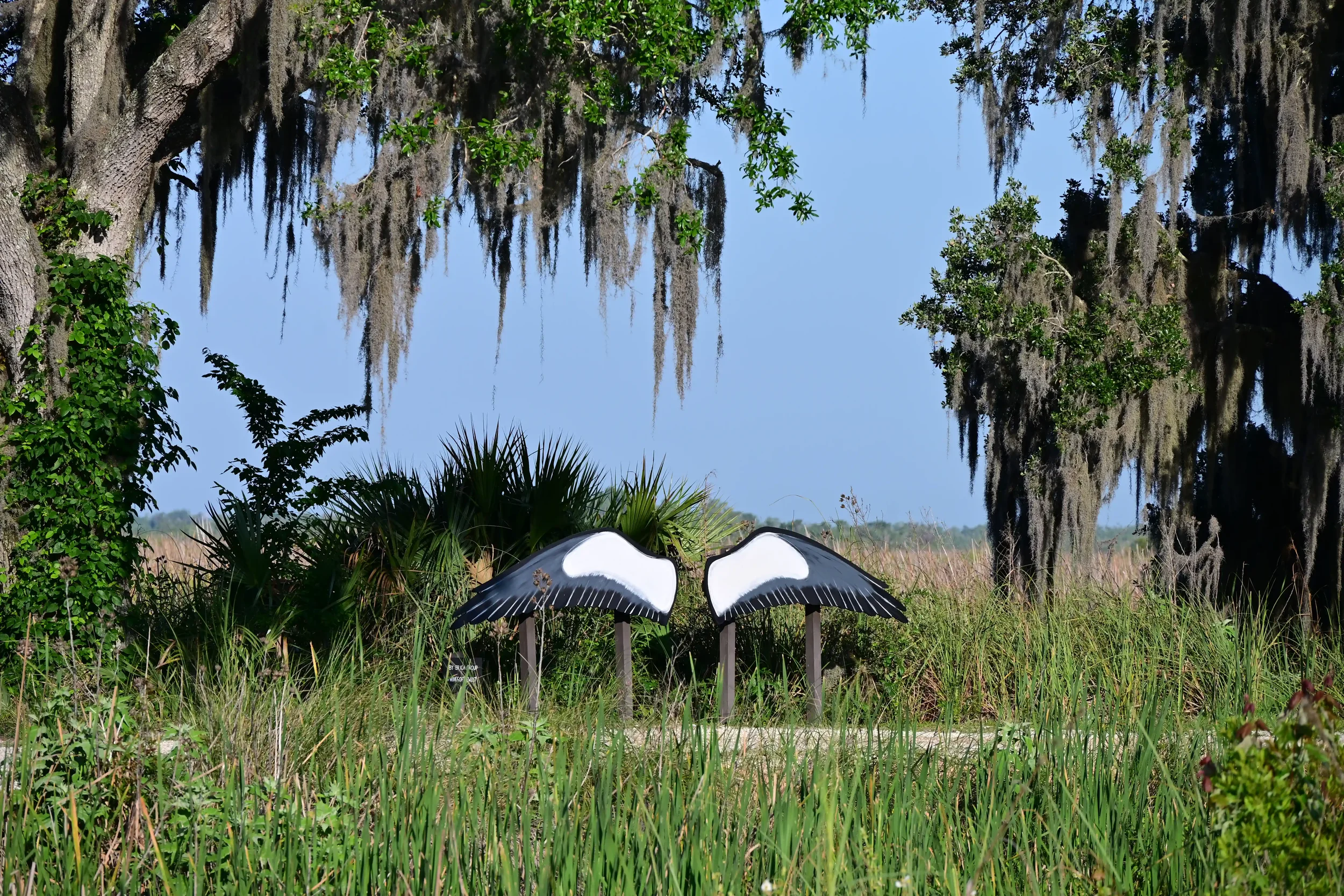 Explore the 22,000-acre Lake Woodruff National Wildlife Refuge, a pristine migratory bird habitat. Along its scenic trails, discover the interactive Swallow-tailed Kite wings mural, offering a perfect, unique photo opportunity.