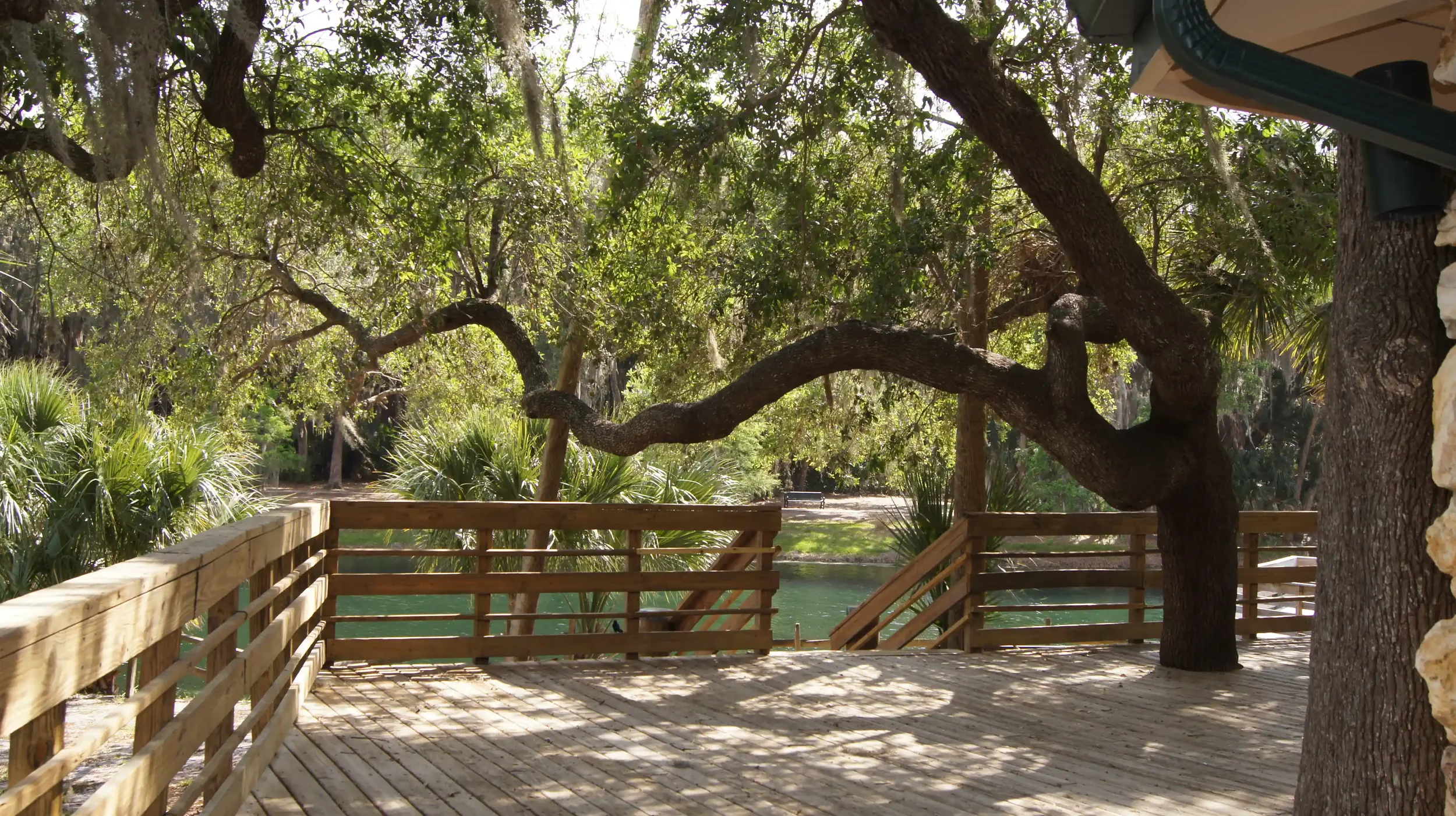 Explore the natural beauty of Gemini Springs Park. Named for its twin freshwater springs, this scenic outdoor destination features extensive paved biking trails, fishing spots, and rustic camping sites.