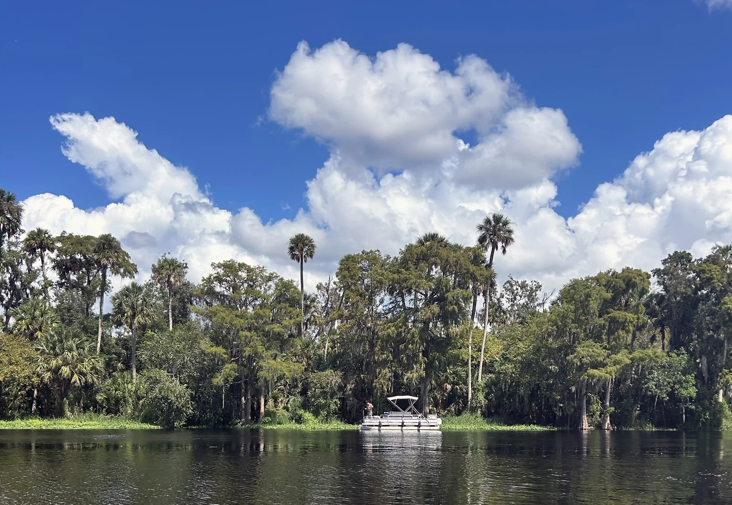 Highbanks Marina and Campground DeBary

