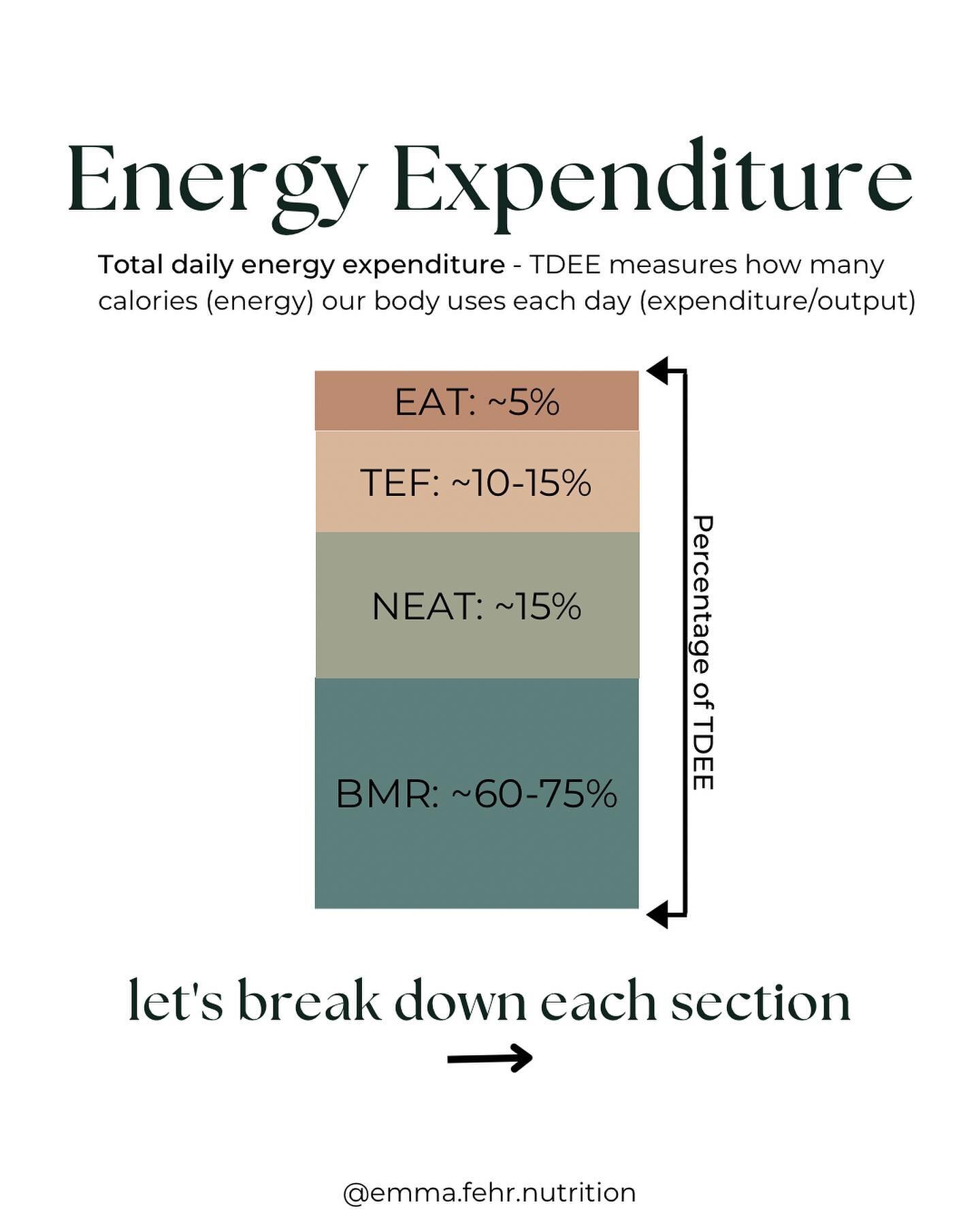 Energy expenditure 🔥

To understand weight loss/gain you need to understand energy balance.

The simplified explanation of energy balance is this:
➡️ Calories are a unit or measurement of energy. 
➡️ Energy balance = Energy Intake (calories) &ndash;