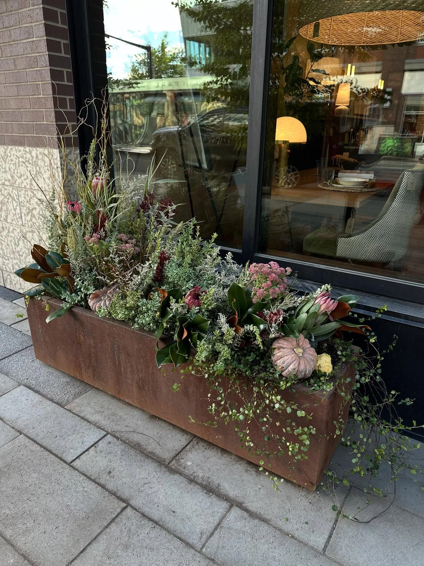 Fall feels are in effect 🍂☕️

#fallfeels #thecuratedhome #inglewood #outdoorplanters #yycliving #yychomes #wealldeservetolivebeautifully