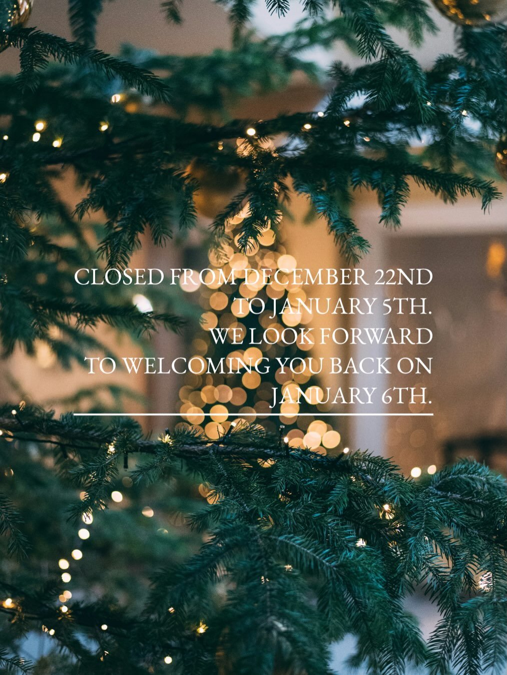 From our home and family to yours, Merry Christmas and Happy Holidays! 

Thank you for being such a meaningful part of our lives again this year. Thank you for your support of our local business, and all of the artists, artisans, makers and trade par