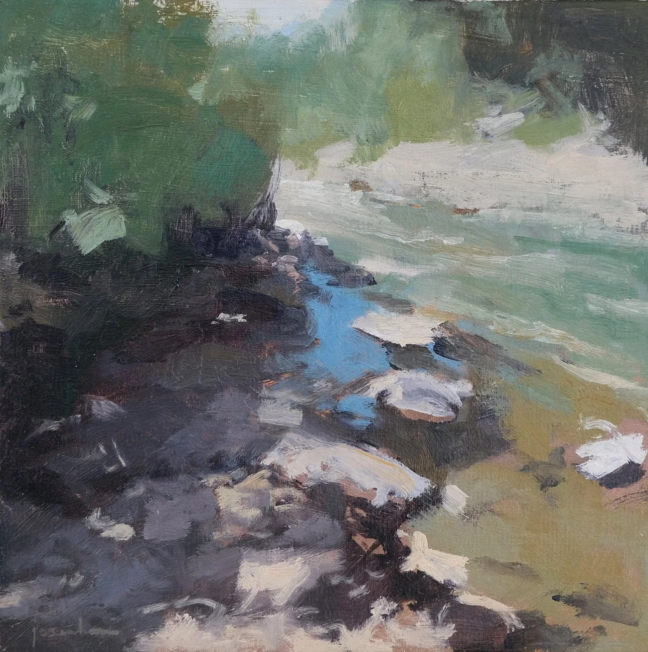 BrilliantBendInTheRiver88W.jpg