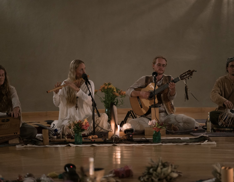 Forest Path Immersion- CA