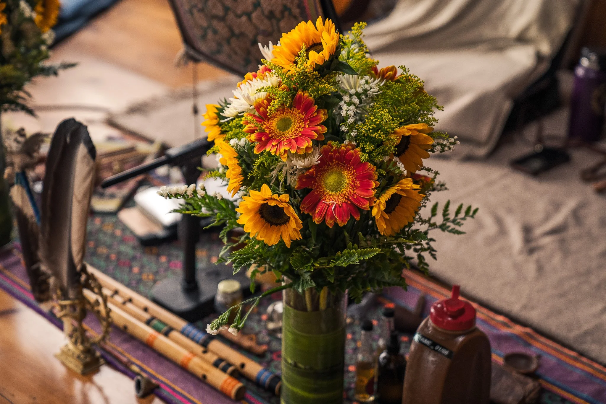 Forest Path Immersion in Austin, TX