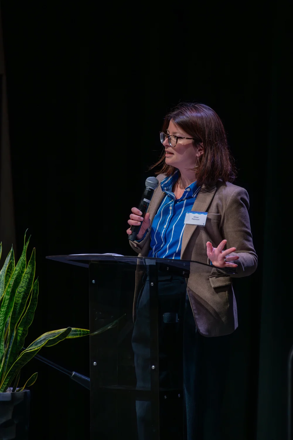 Li1 SeaAhead_OffshoreWindSymposium_24.02.06-29.jpeg