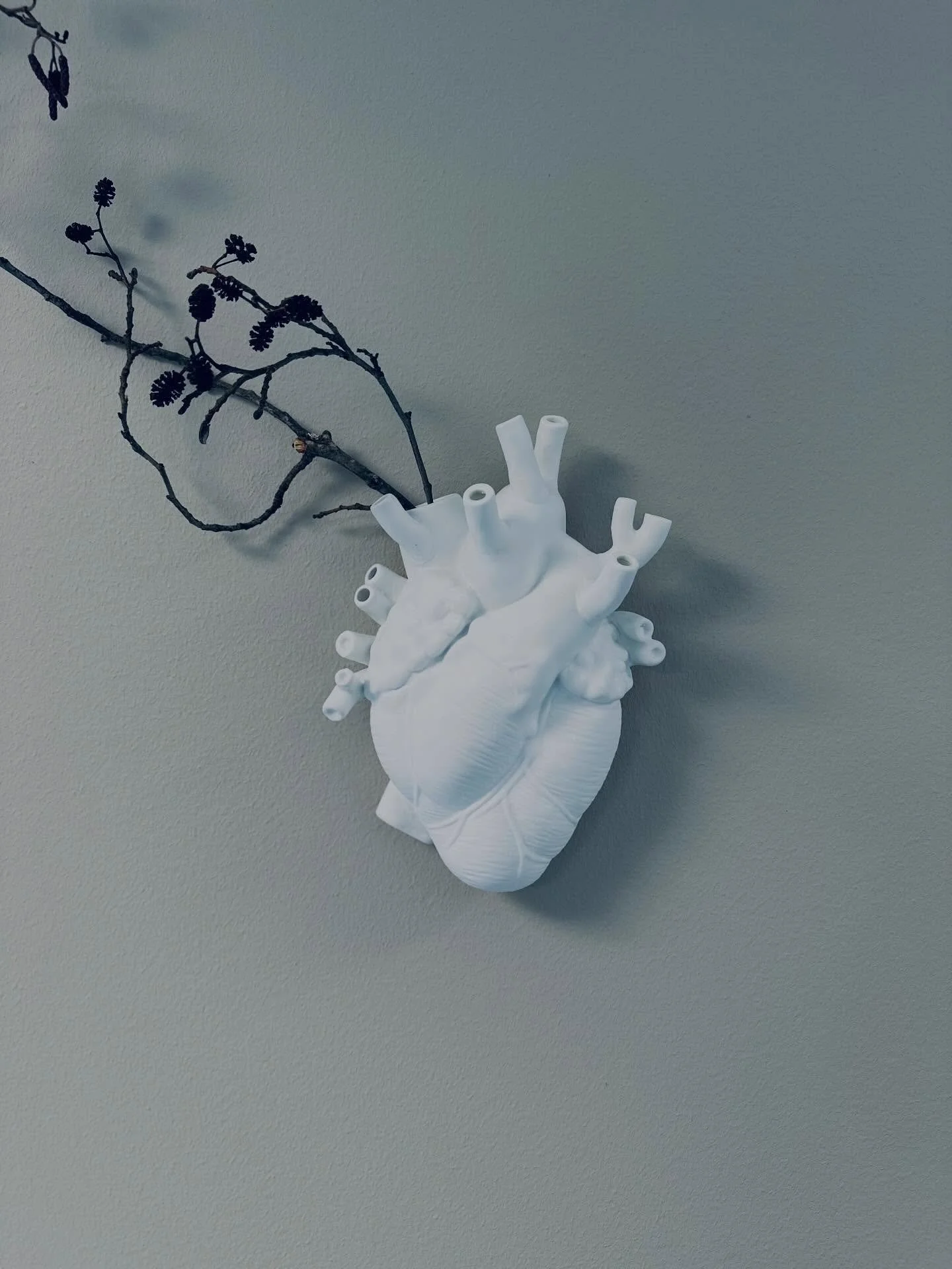 Tack hj&auml;rtat.
Tack kroppen.

&hearts;️ 
💪🏻 

Jag p&aring;minner mig flera g&aring;nger i veckan.
Men k&auml;nner &auml;nd&aring; inte att det r&auml;cker till.
Jag vill verkligen kapsla in k&auml;nslan av min friska och starka kropp. Mitt fris