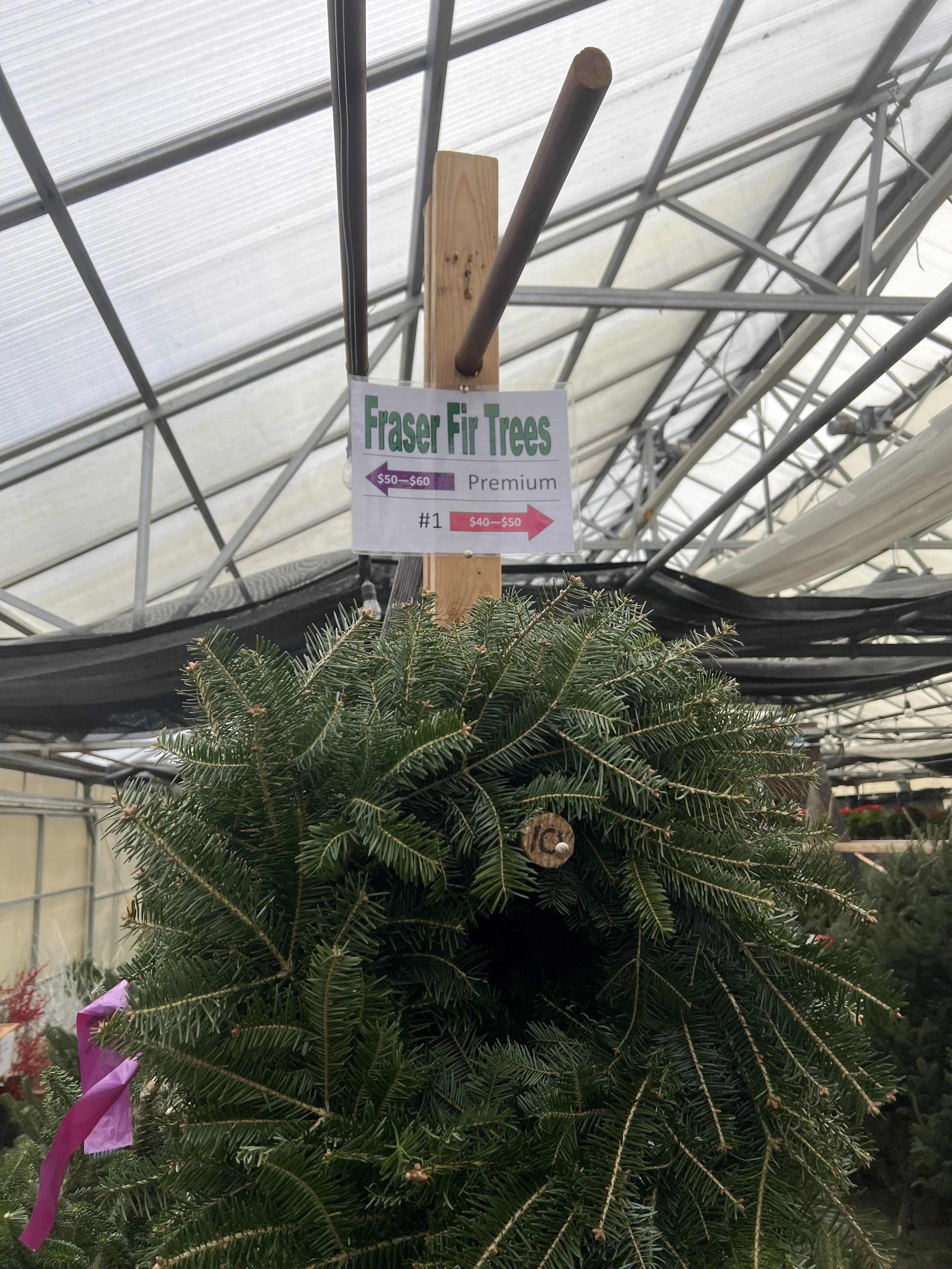 General 5 — Kathan Gardens and Gifts