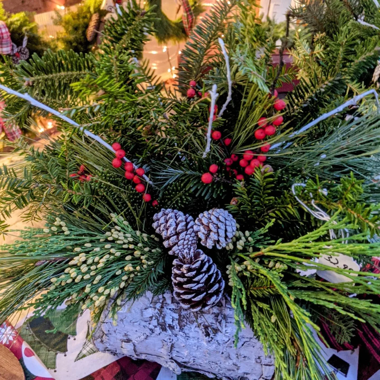 Christmas Plants — Kathan Gardens and Gifts