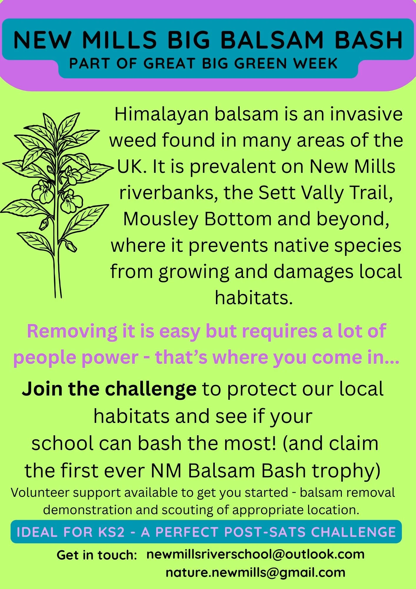 Balsam bash new mills green week