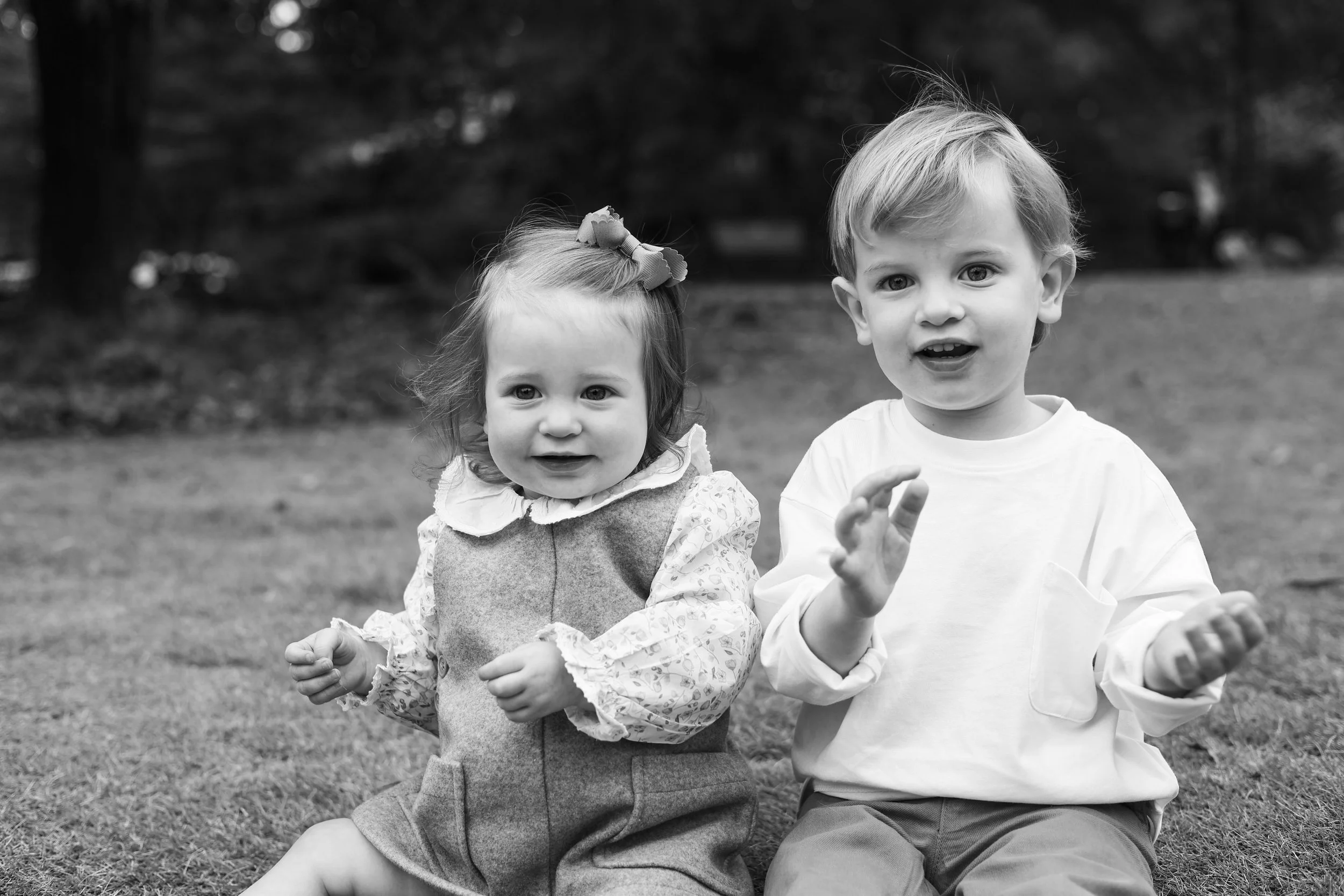 Blog Post Title Three