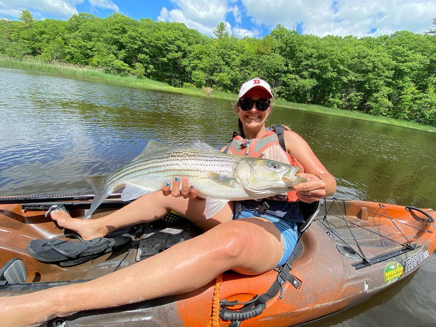 Some days the fish just won&rsquo;t cooperate&hellip;&hellip; this was not one of those days .  Slower than expected out of the gate but as we rounded the first corner it was nonstop action.  #maineguide #kayakfishnewengland #wildyfishing #torqeedofi