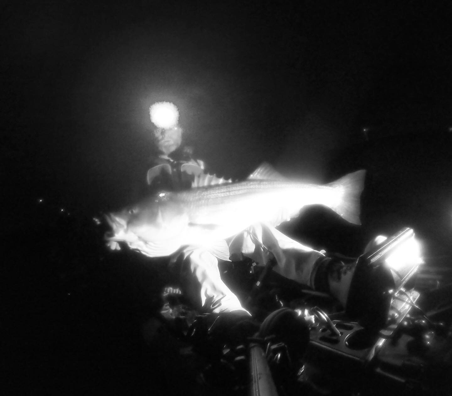 Another glorious night out with the 1999 flip phone.  #saltylens #amateurhour  #maineguide #kayakfishnewenglandguideservice #wildyfishing #torqeedofishing  #gobigorgohome #gravitytackle