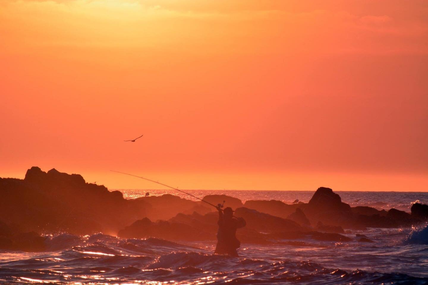 Nine seasons of guiding in New England and as excited as ever to see what the year brings !  Black sea bass trips available along with flounder for some great eating fish ! As always we are strictly catch and release with Striped Bass .  Surfcasting,