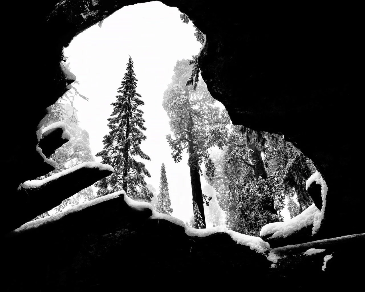 Sequoia National Park