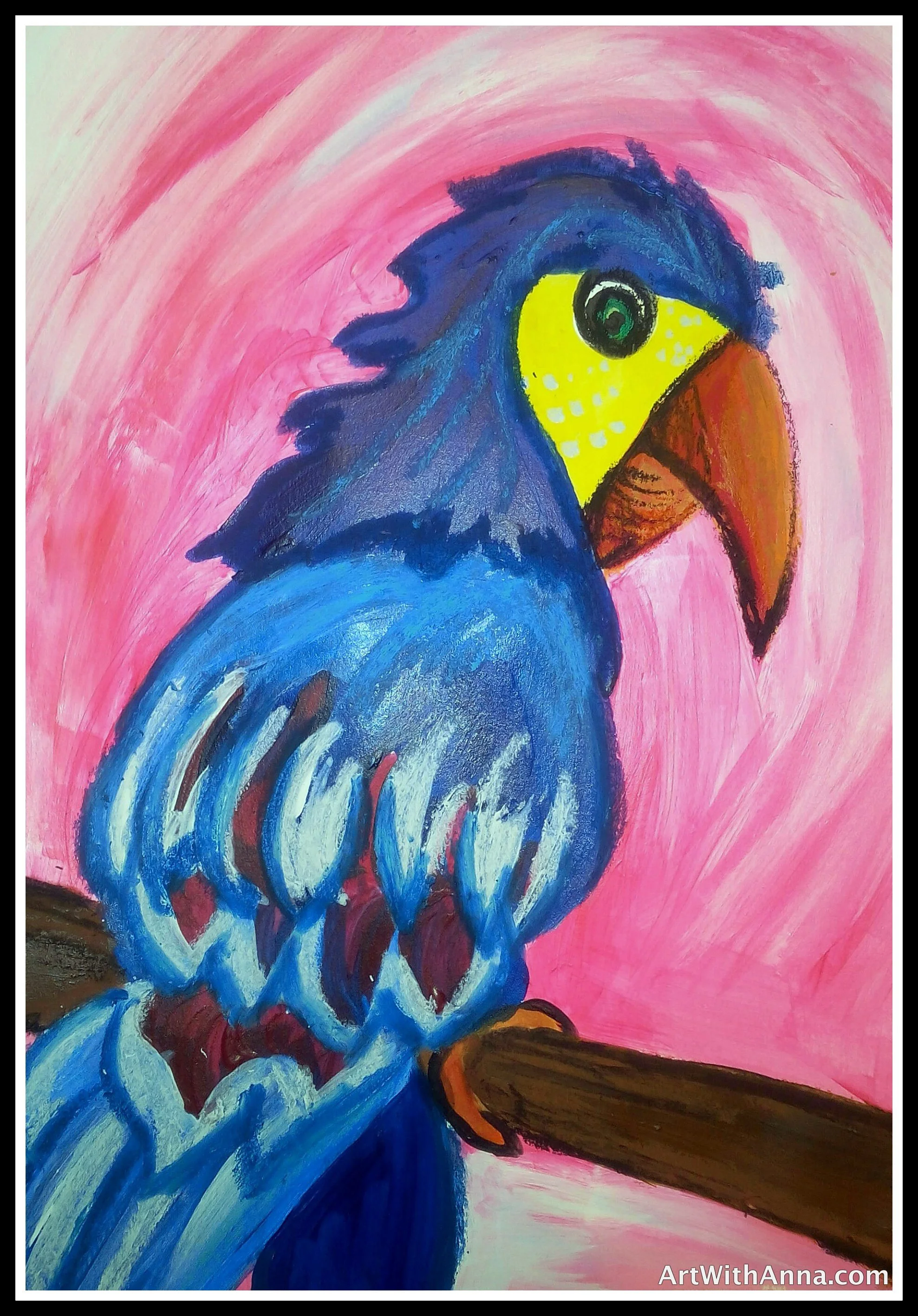 macaw.jpg