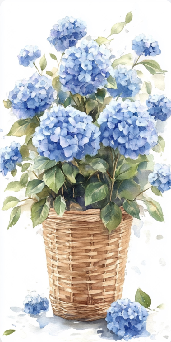 Screenshot 2024-10-21 at 11.40.00 AM.png