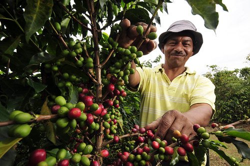 Coffee Farmer 5244856244_1e6112f300.jpg