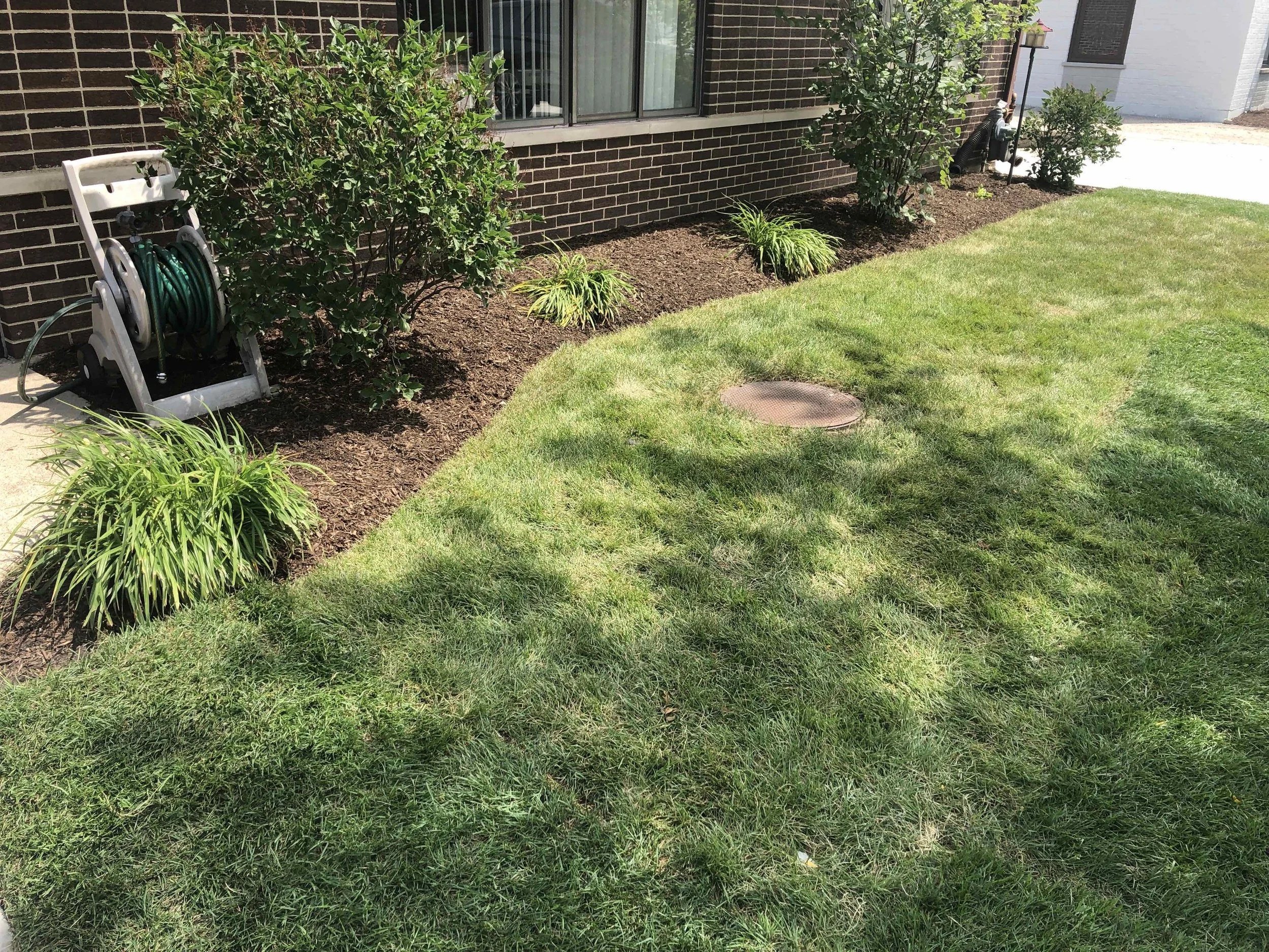 Landscaping 2.jpeg