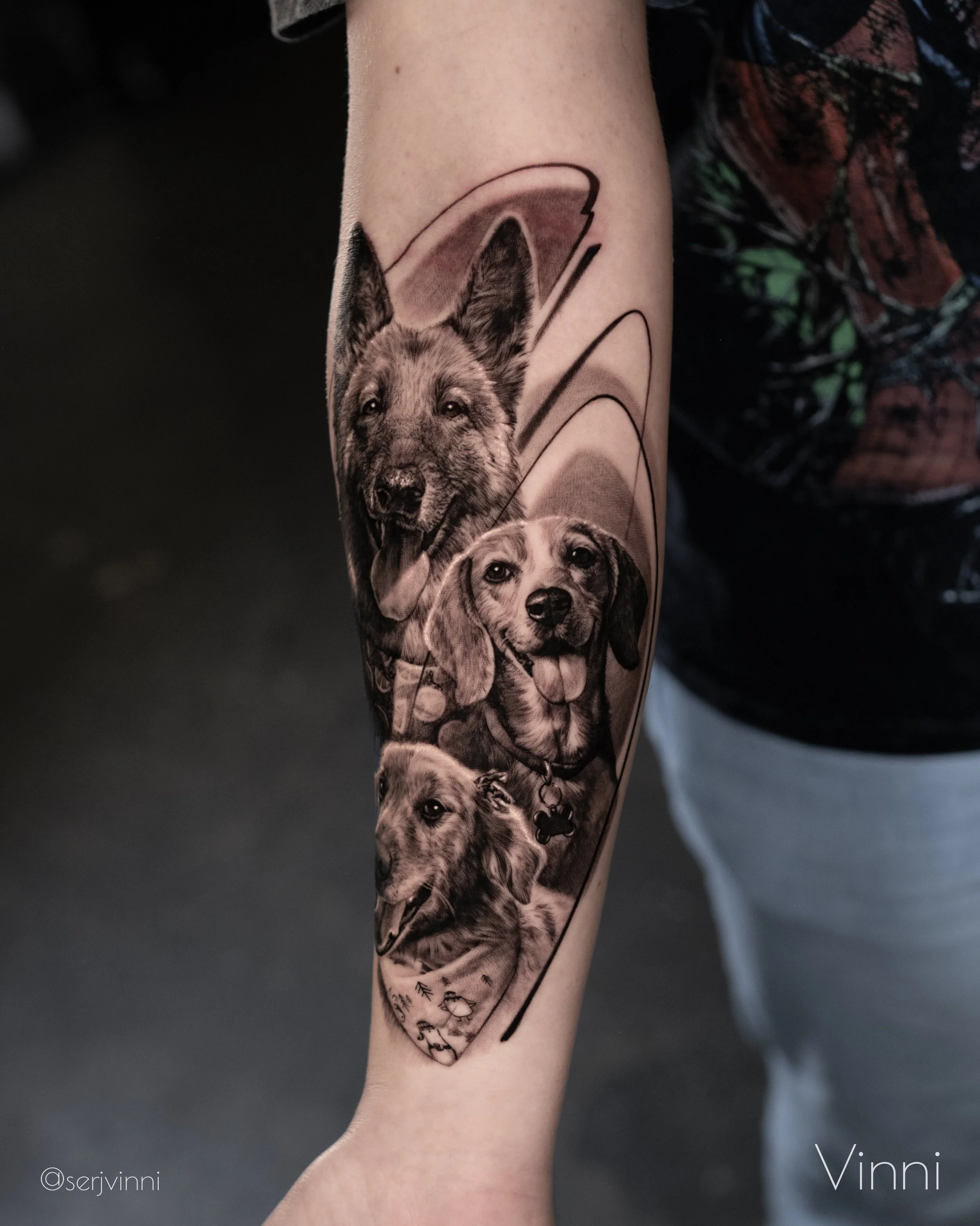 Dogs1 — копия.JPG