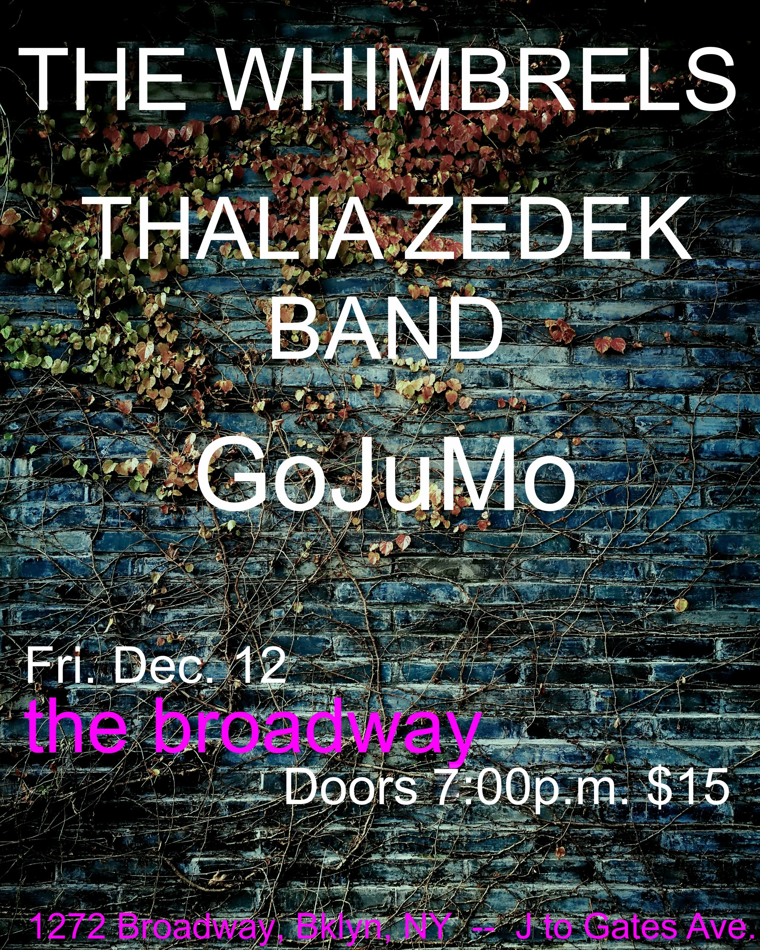 The Whimbrels w/ Thalia Zedek + GoJuMo