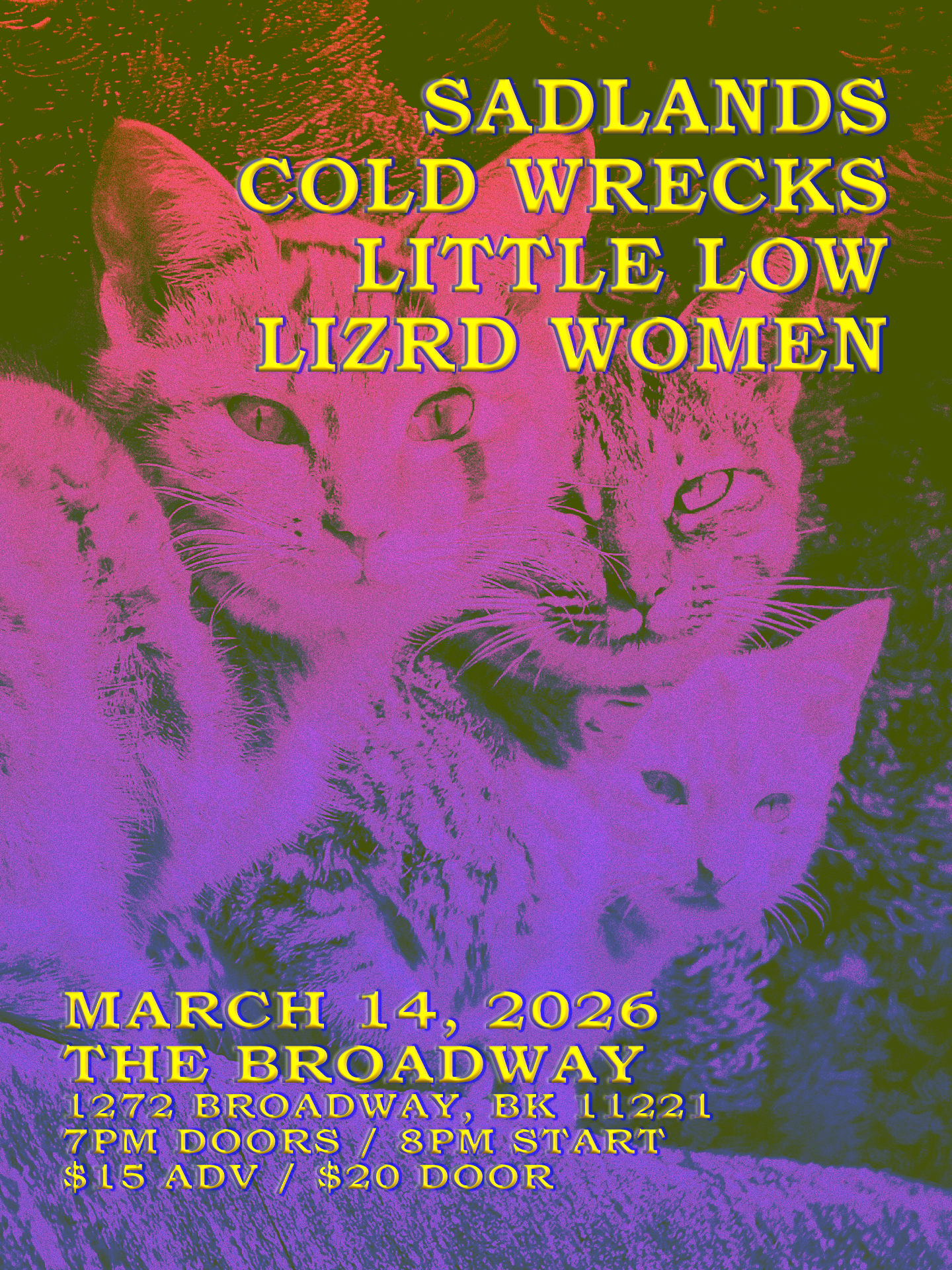 Sadlands w/ Cold Wrecks, Little Low + Lizrd Women