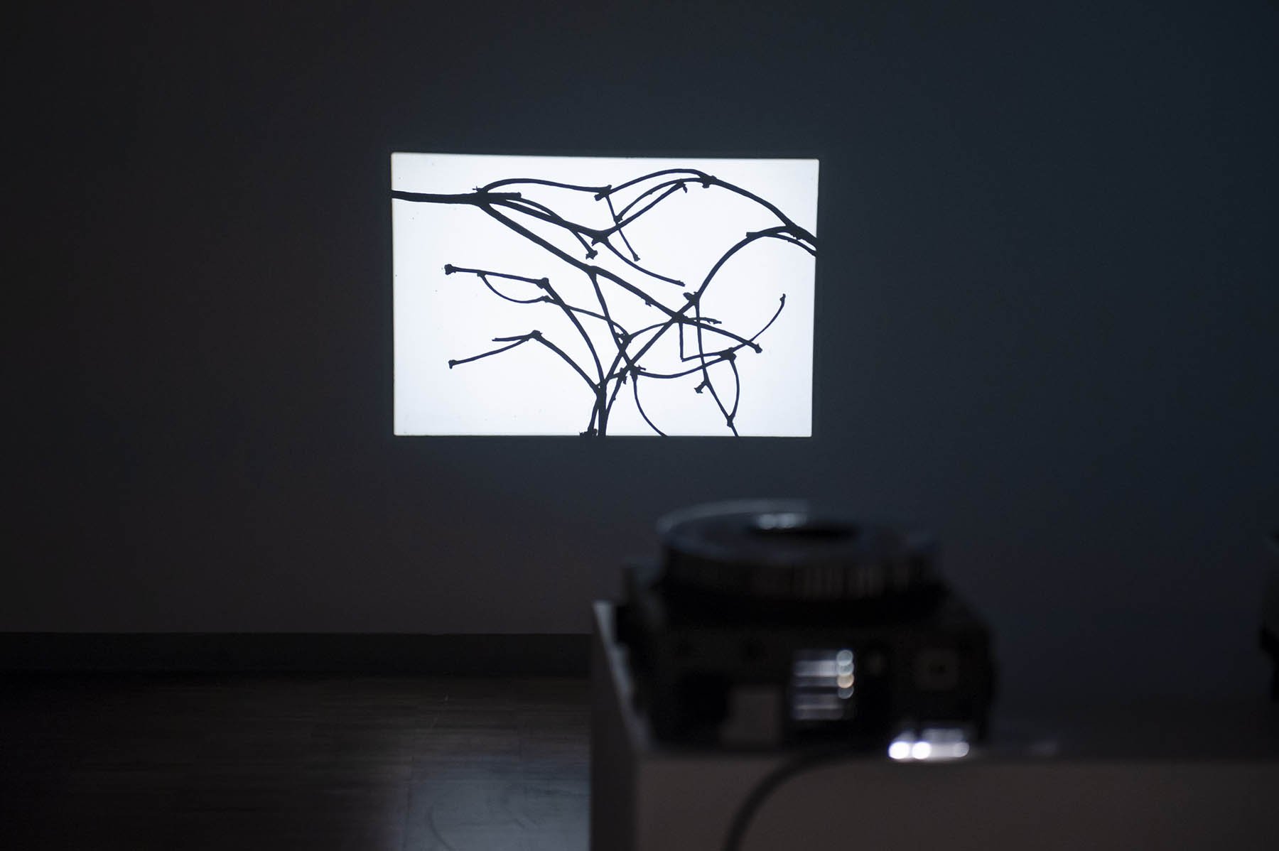 photos:  Emma Harris (DK)