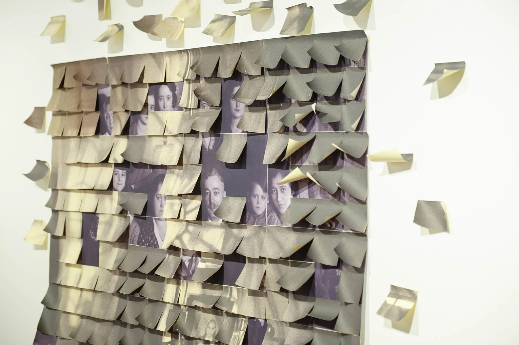 photos:  Cornelia Stefanescu (NO)