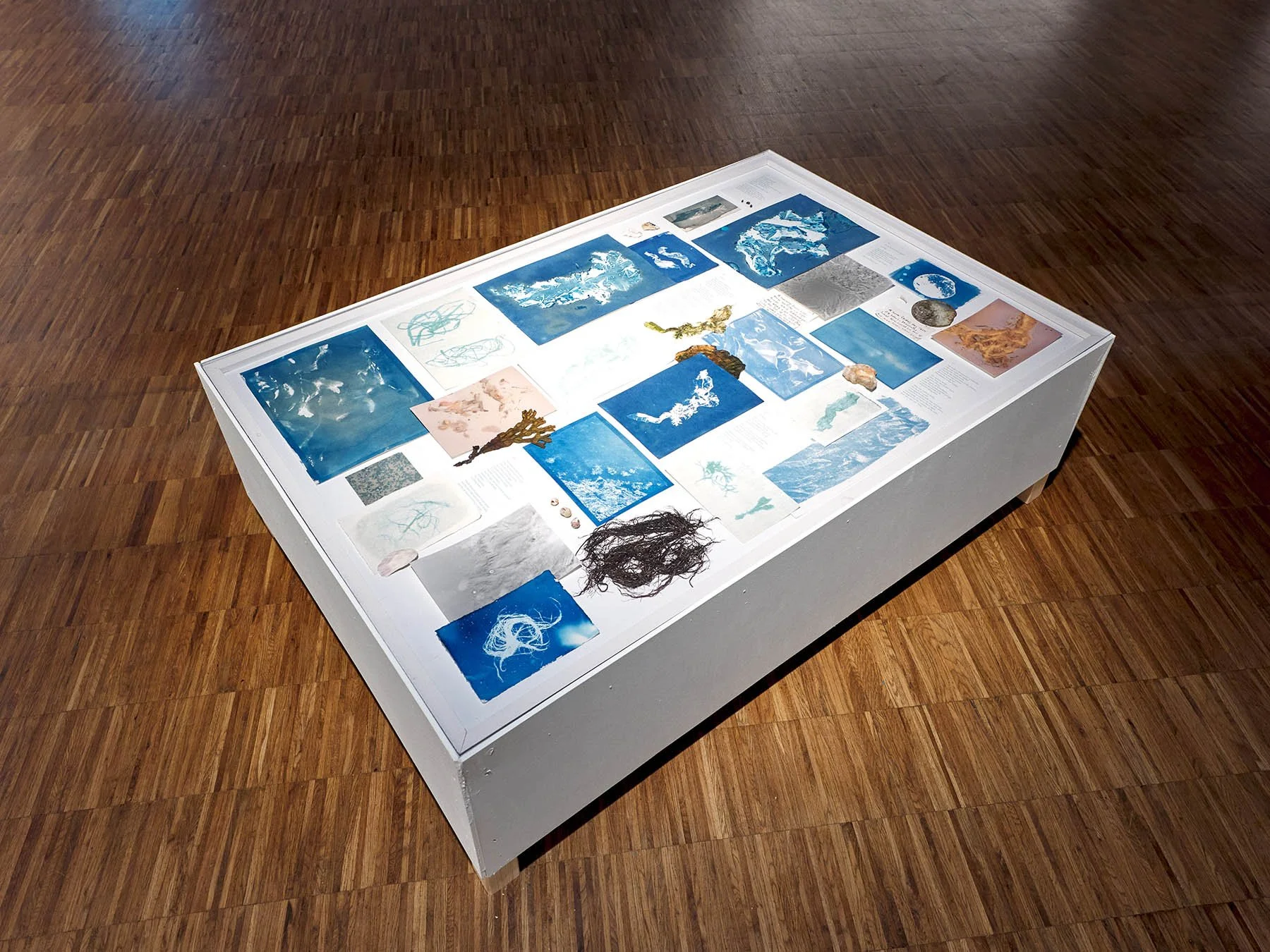 photos:  Selina Oakes (FI)