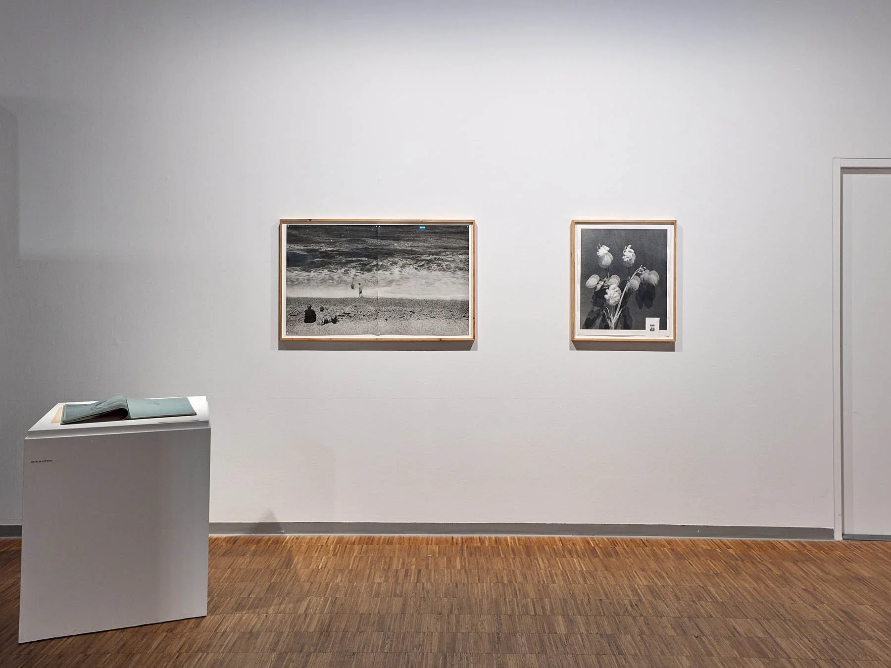 photos:  Natalia Kopkina (FI)