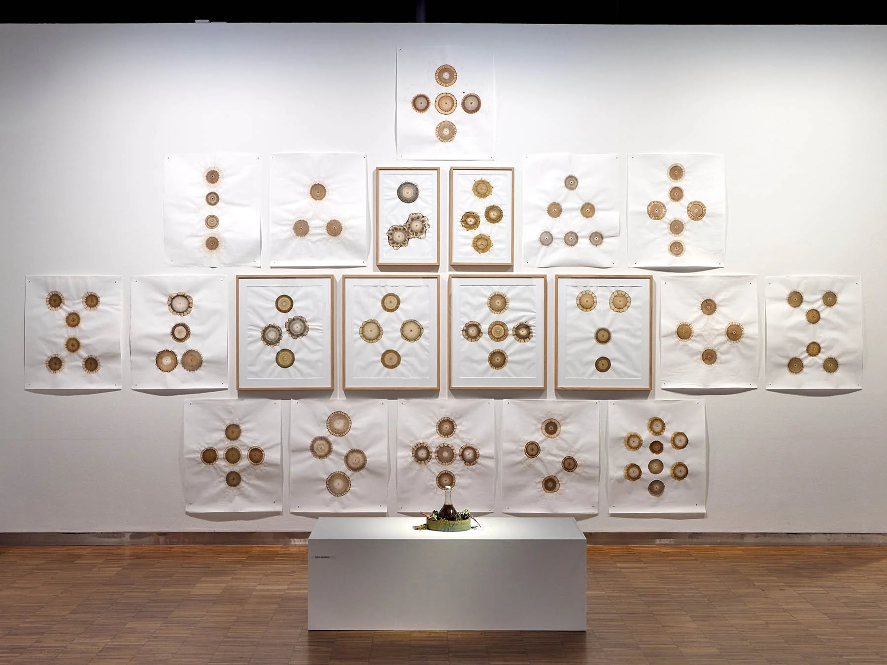 photos:  Sirja Moberg (FI)