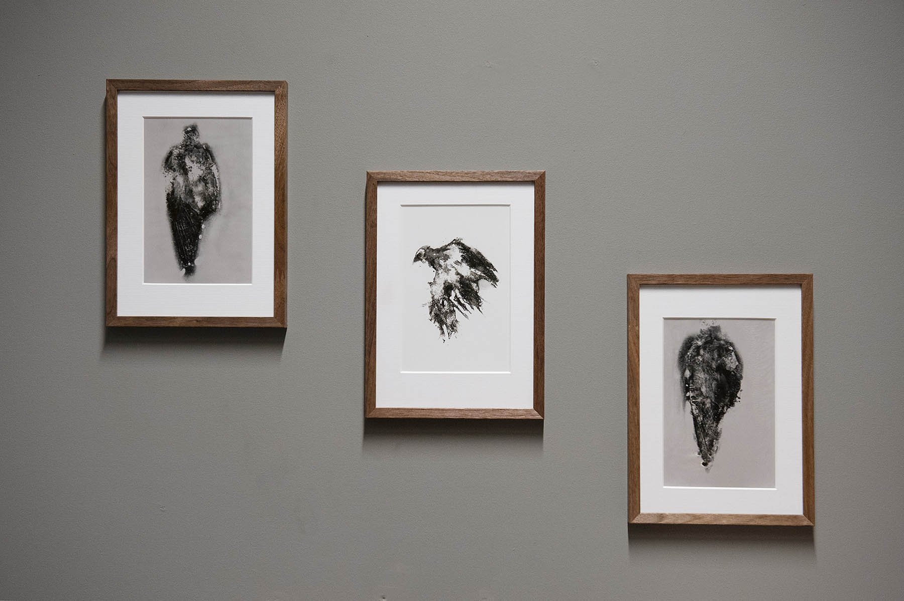 photos:  Joonas Ahtikallio (FI)