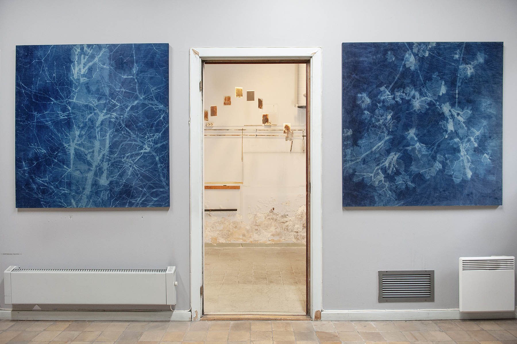 photos:  Torhild Aukan (NO)