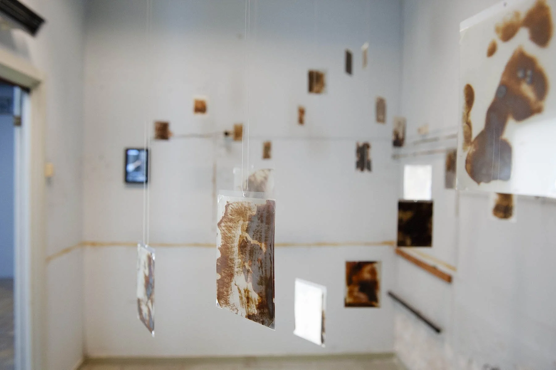 photos:  Lexy Xiao (NO)