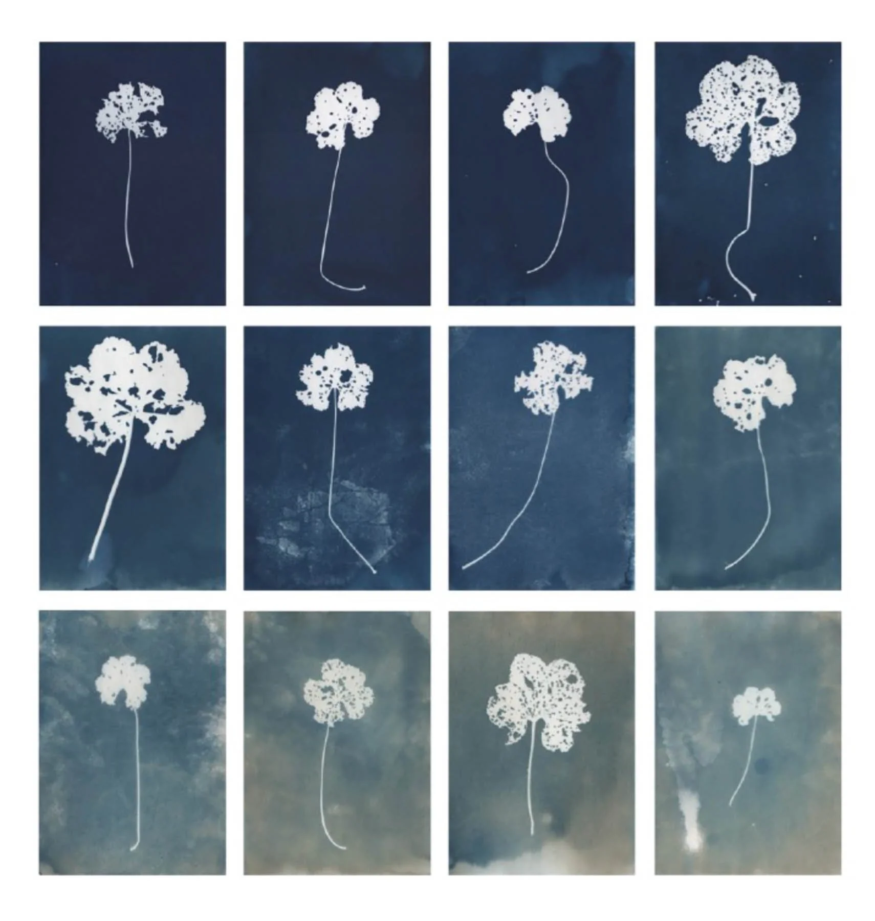 photo: Alexandra Stroganova