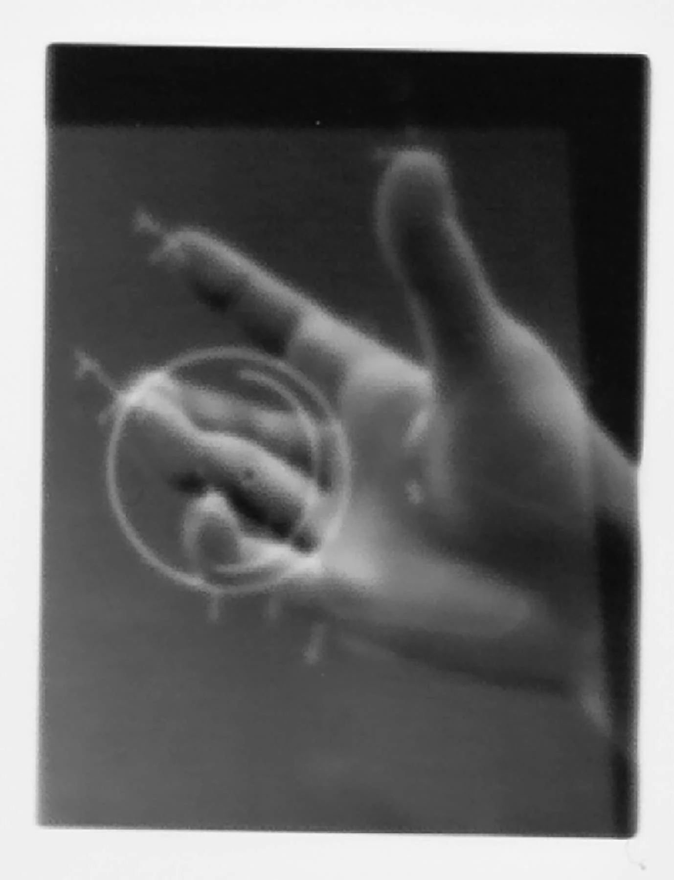 photo: Rebecca Krasnik