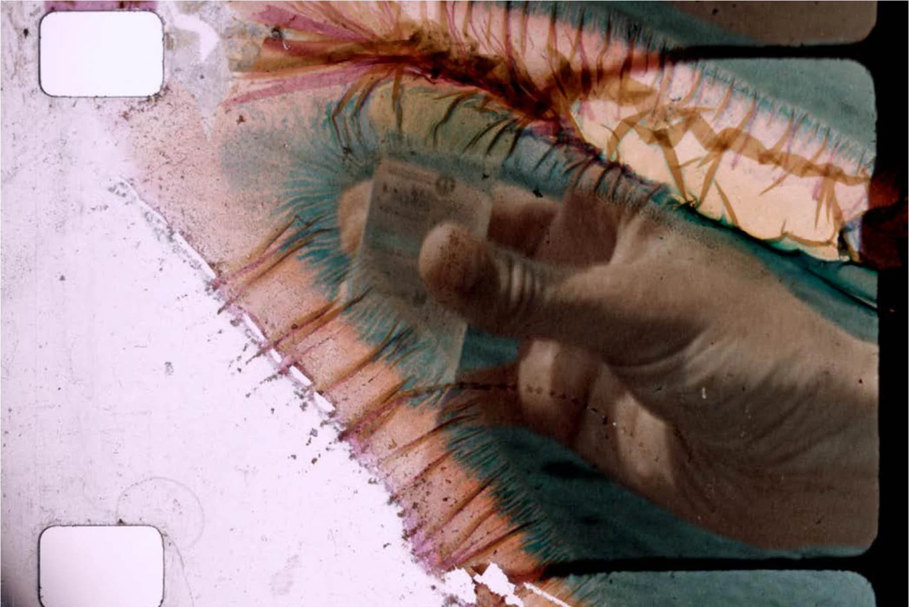 Artist workshop - Taylor Smith at FIlmverkstaden 23-24 May 2026