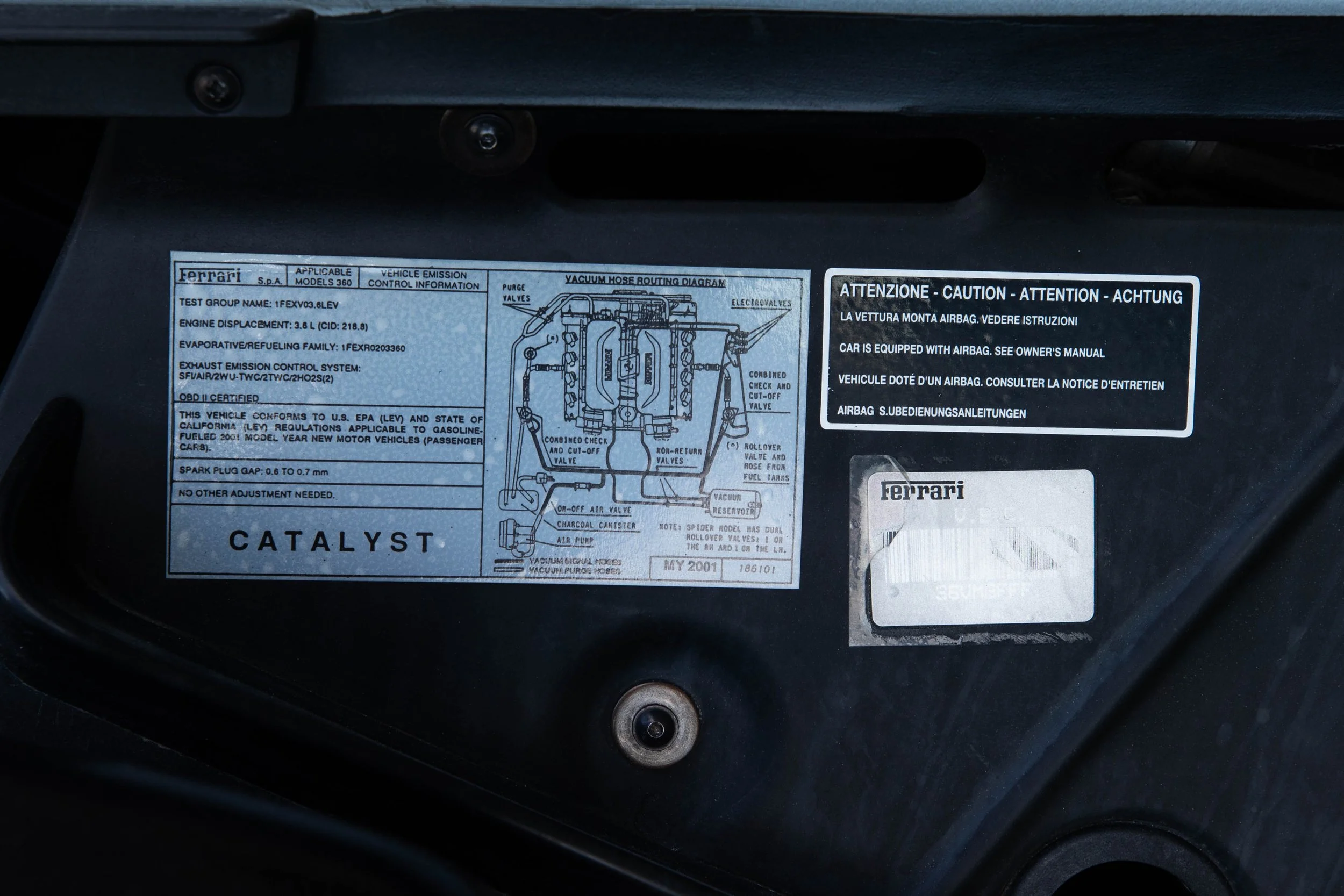 A07I6199.jpg