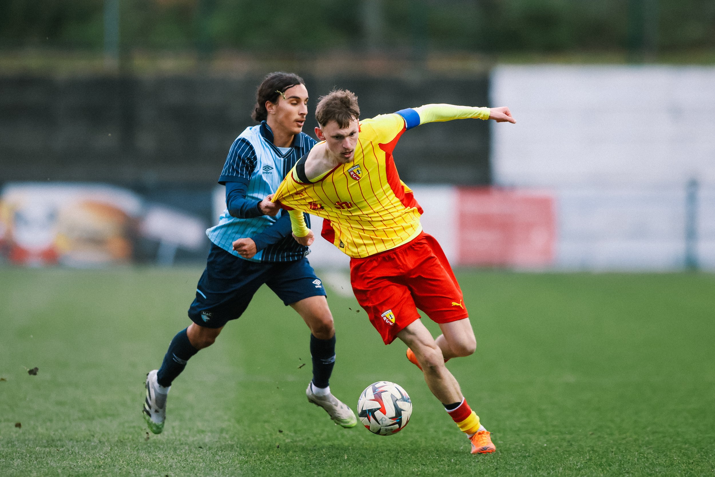 Lien vers le portfolio