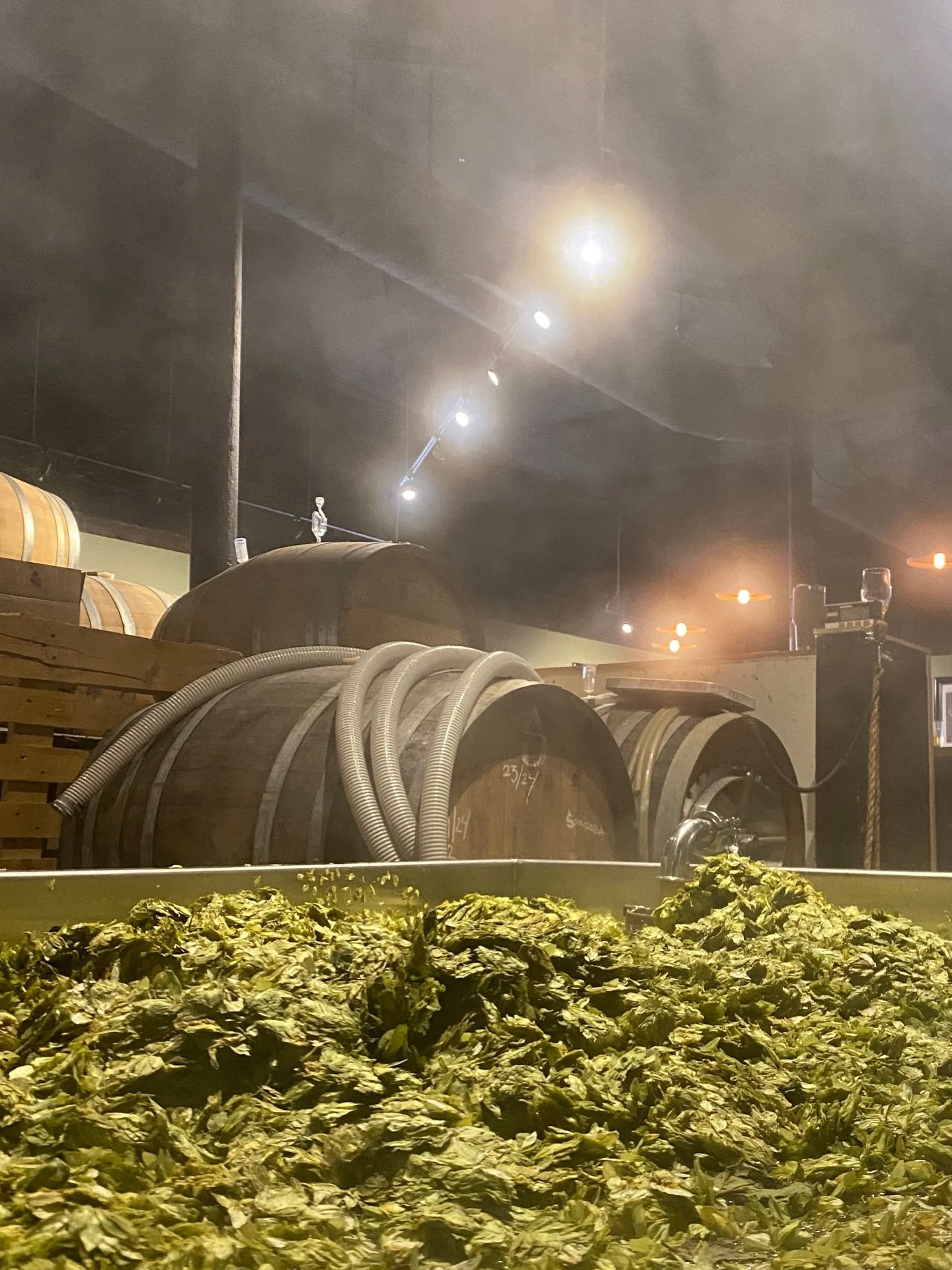 It&rsquo;s trivia Thursday! 

Come join us for trivia tonight with @antinormaltrivia starting around 6pm and ending around 8pm. Bring your friends and join anytime, the last round can really make or break you! 
We&rsquo;ll also have a new beer on dra