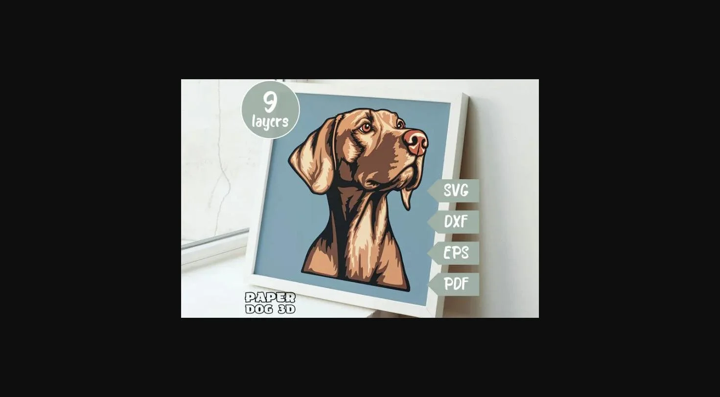 Rusty the Vizsla