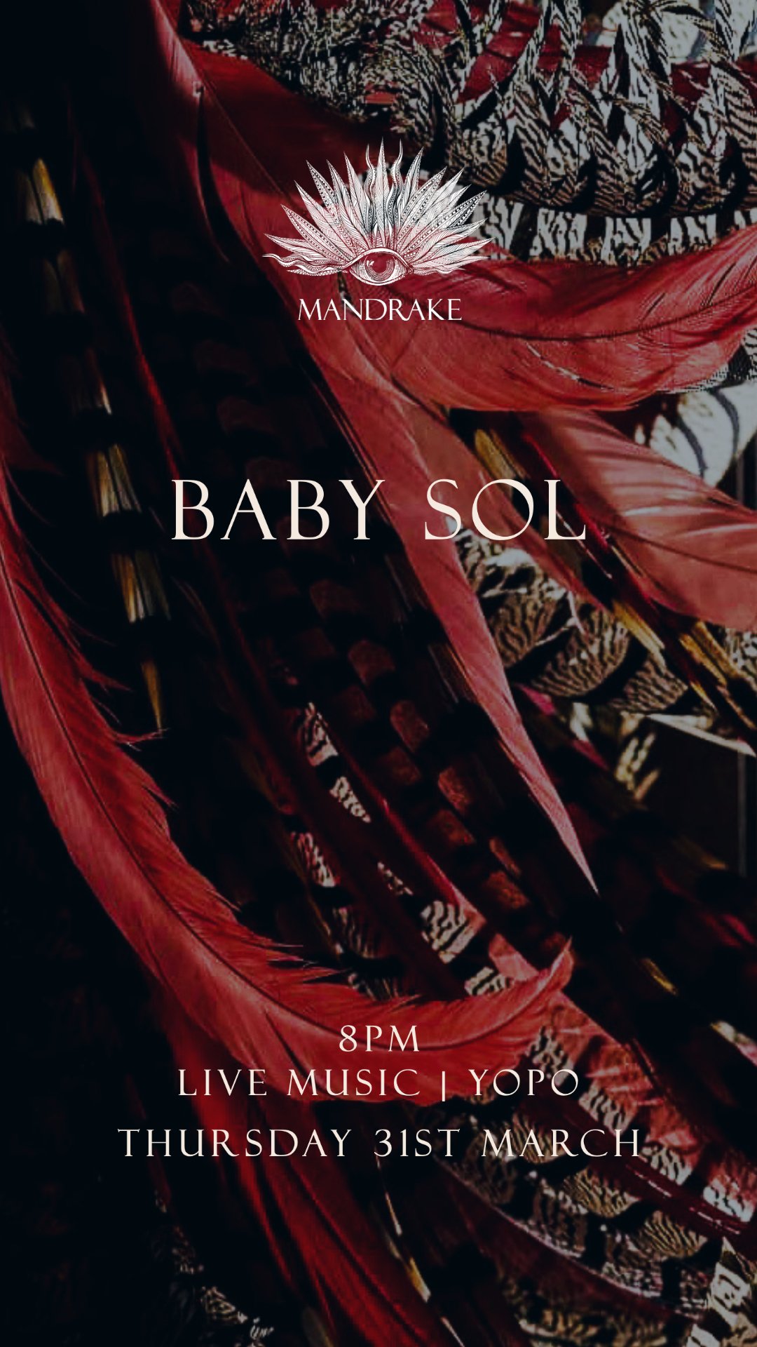 Baby Sol 31st Mar.jpg
