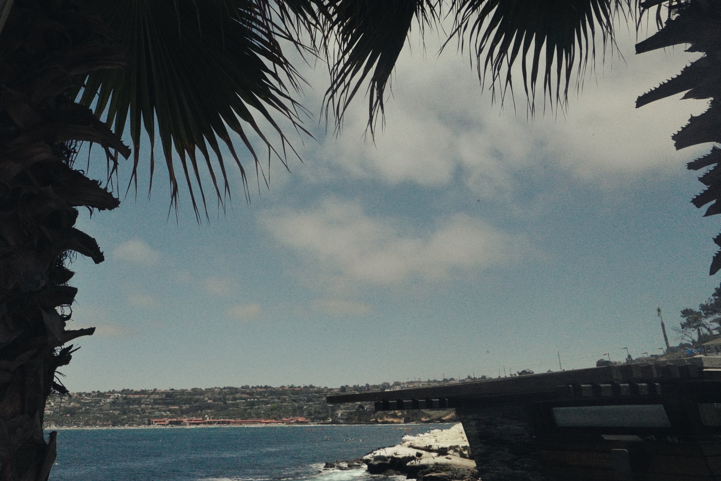 Subing Kan_VIS164_1_1.jpg.jpg