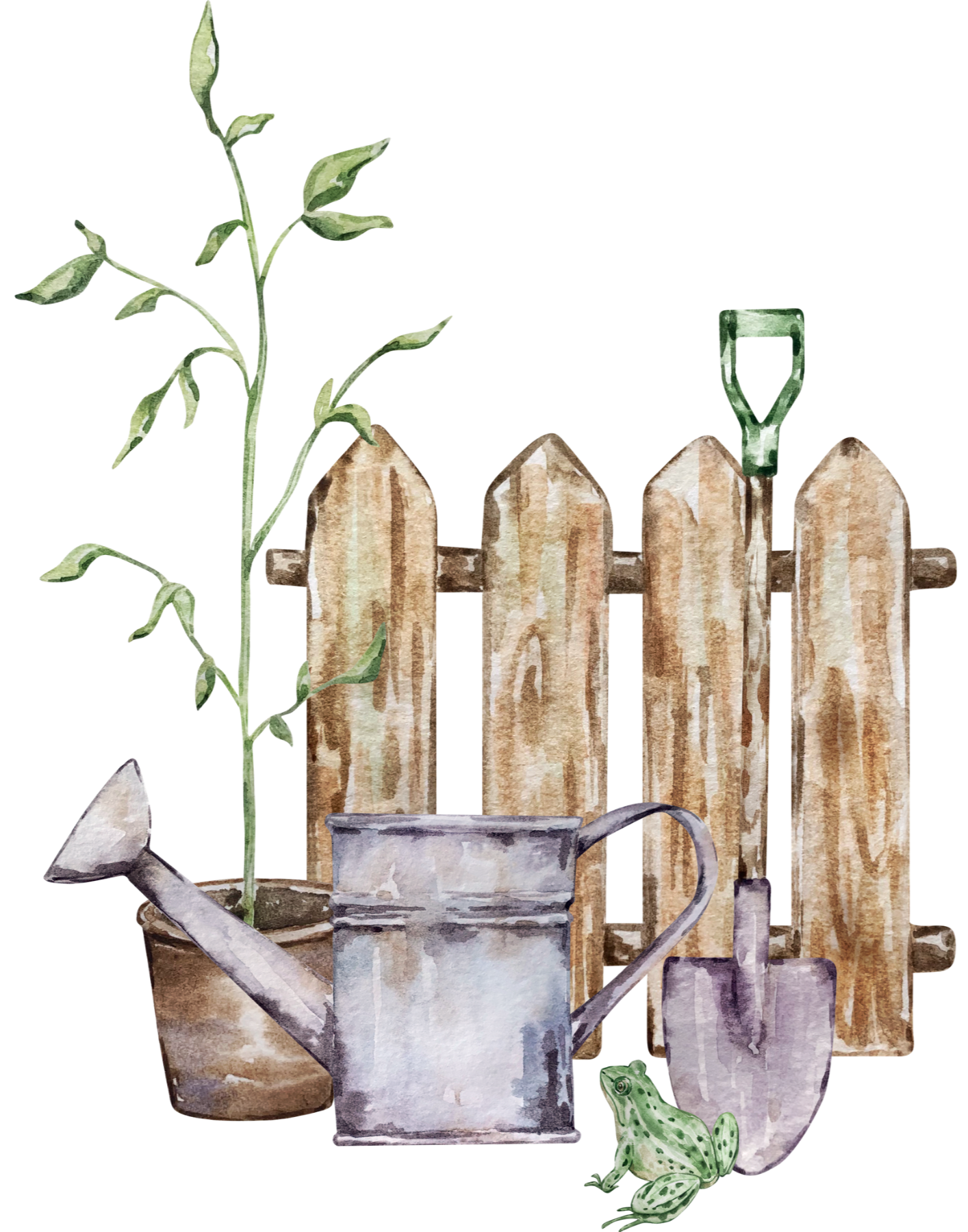 Watering can, potted plant, wooden fence, copper watering pot, small frog, and gardening tools arranged against a background of a wooden fence.