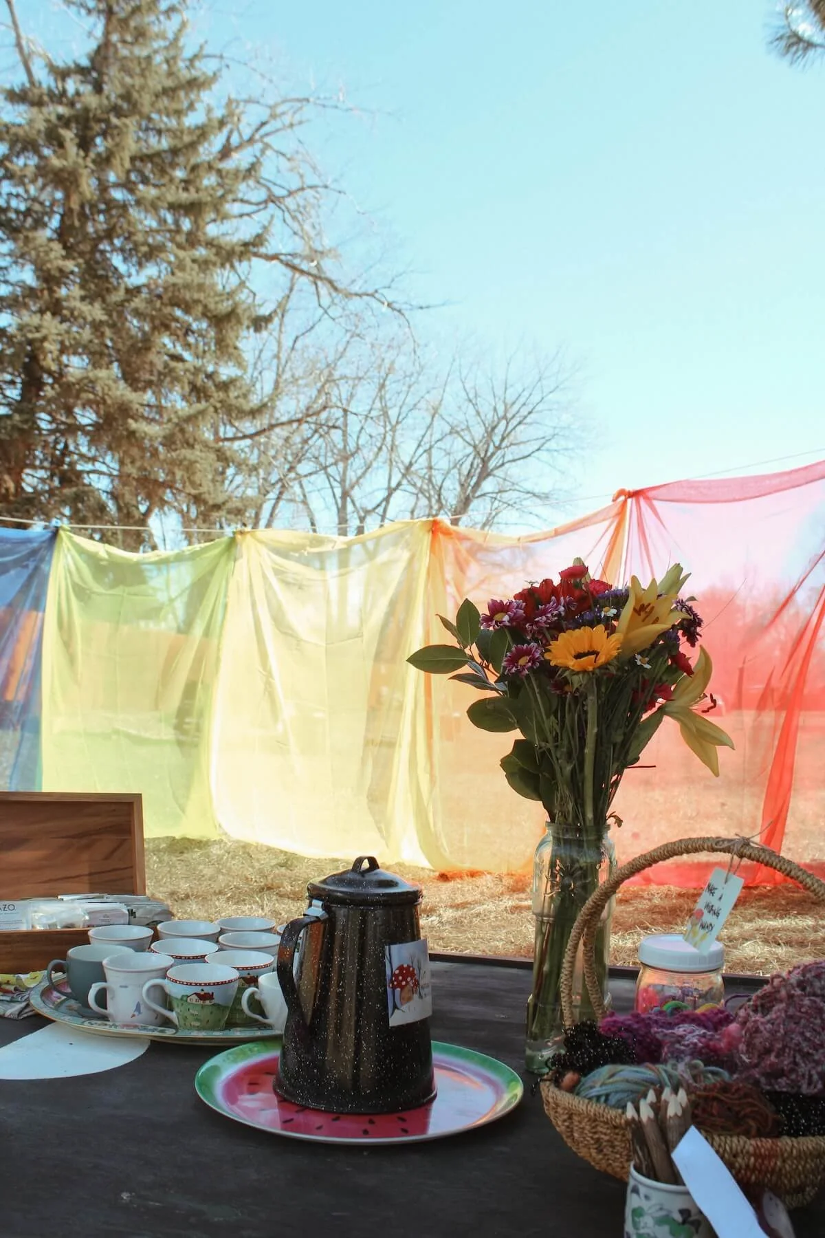 A table set outdoors with a black coffee pot on a watermelon-shaped tray, surrounded by cups, bowls, and knitting supplies, with colorful sheer fabric panels and leafless trees in the background.