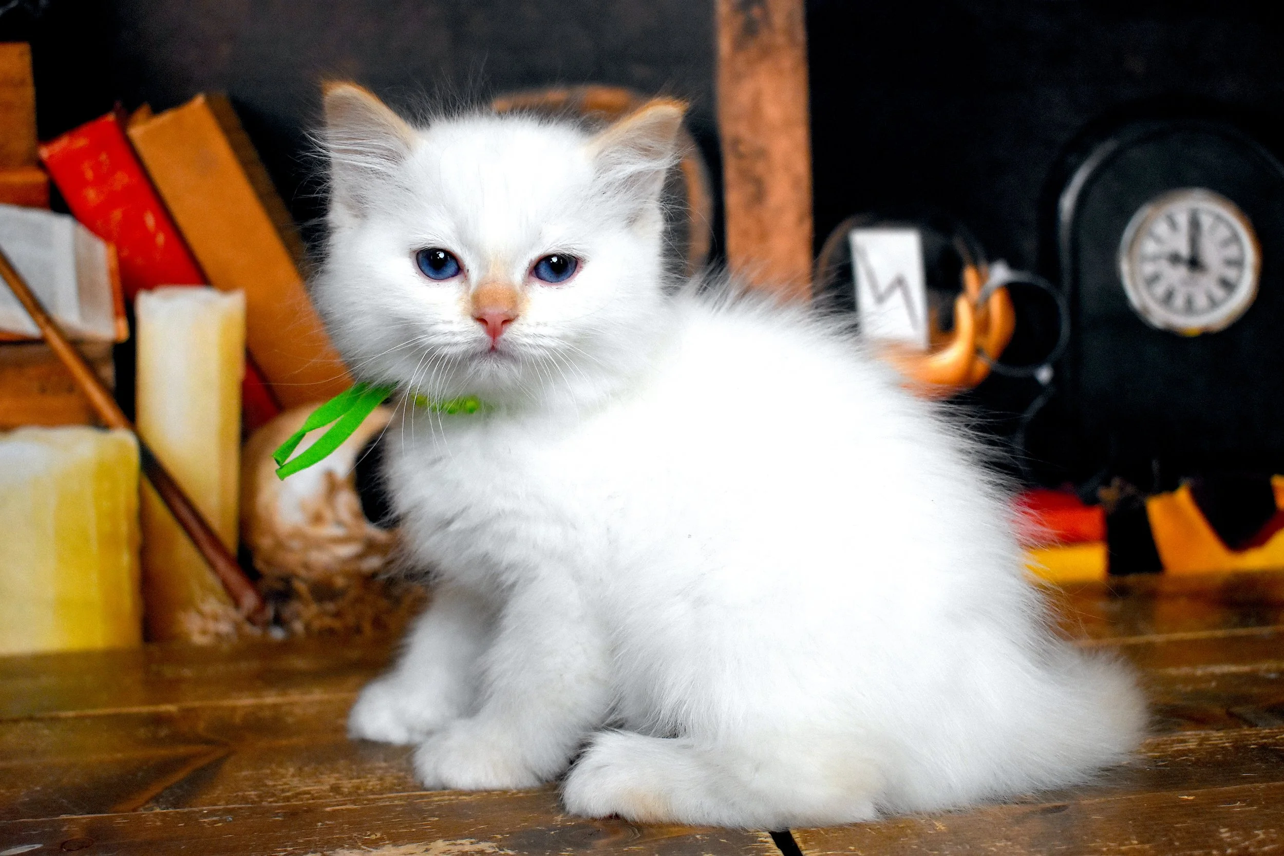 DSC_1212.JPG