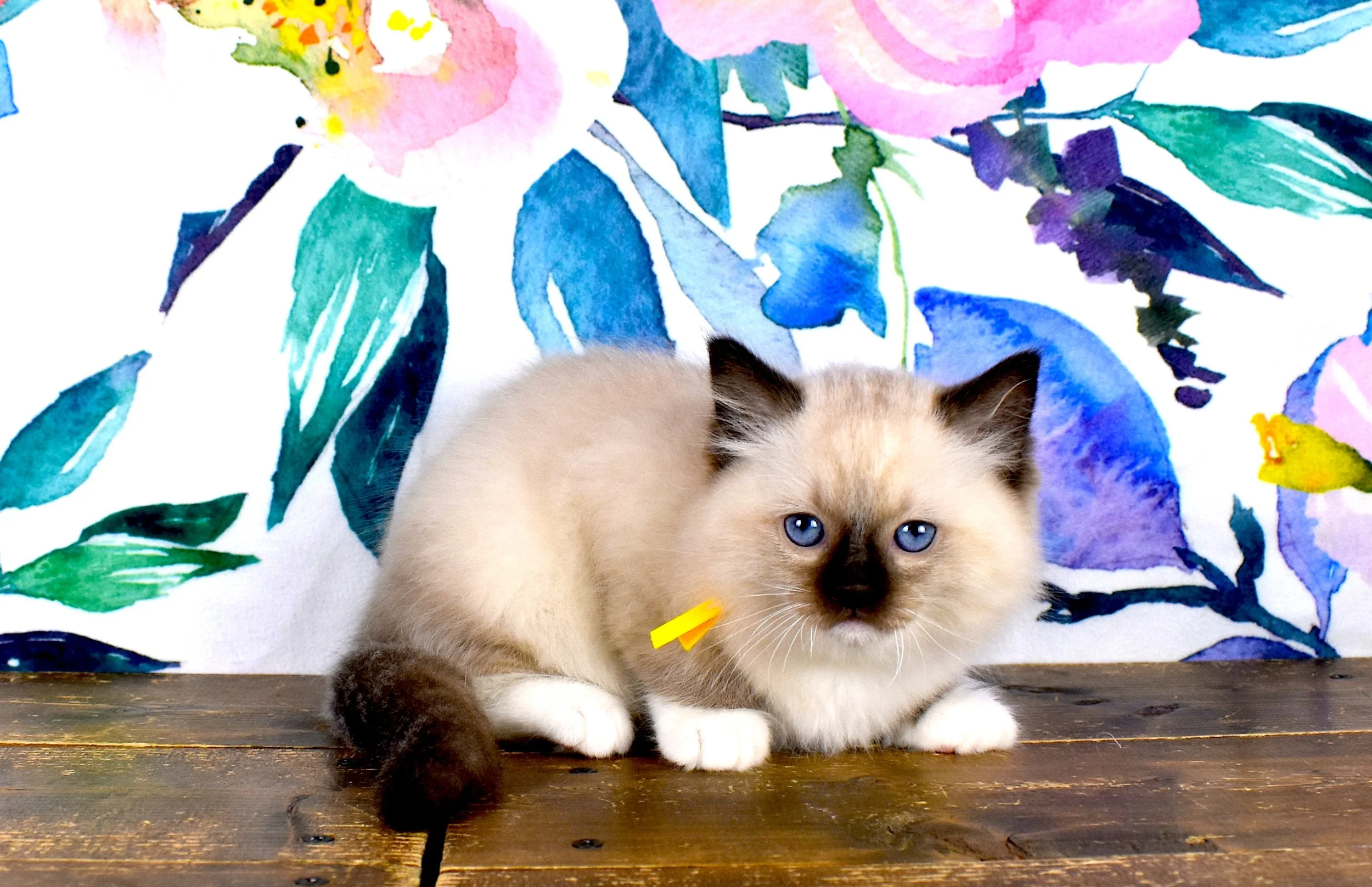 DSC_3119.JPG