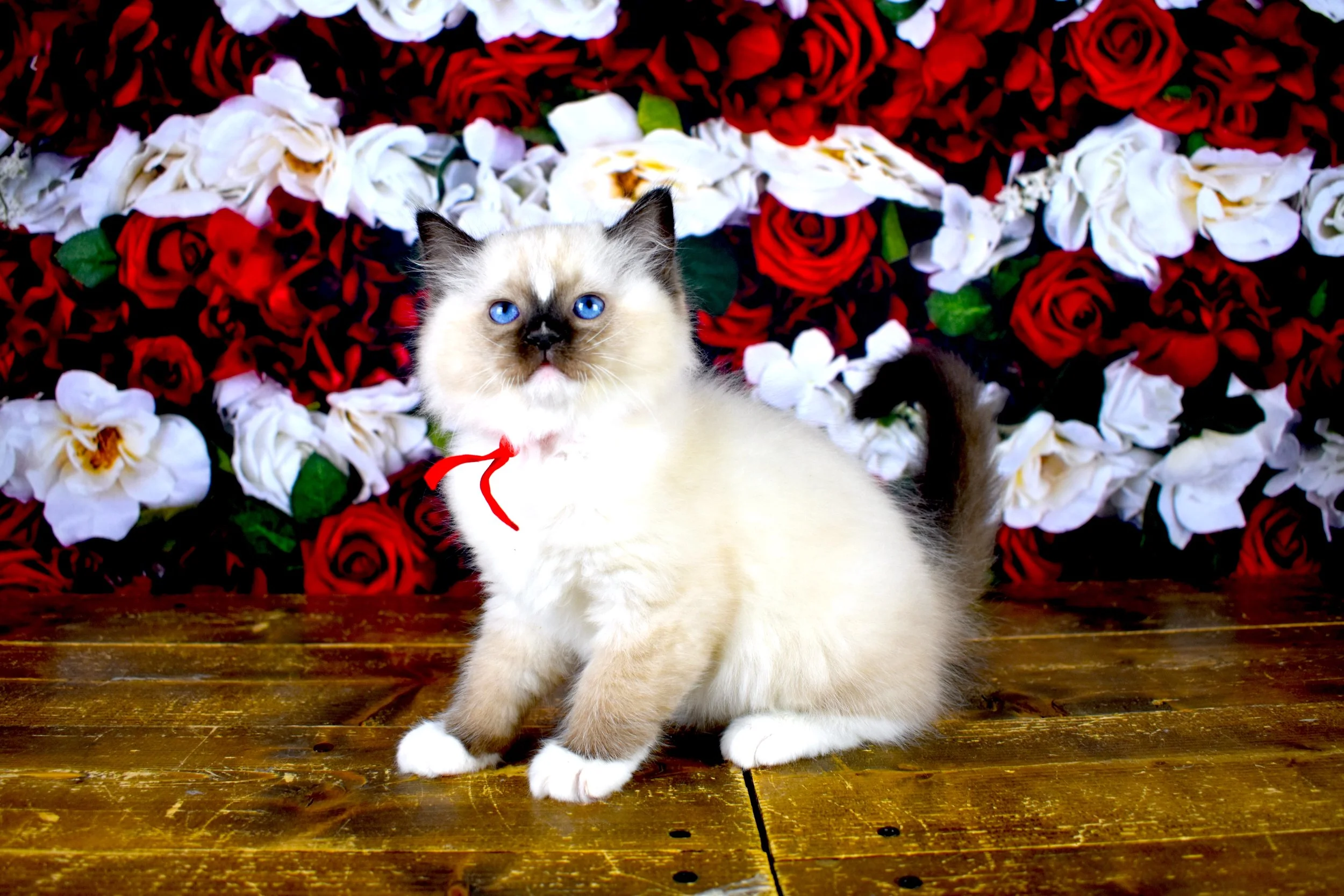 DSC_3007.JPG