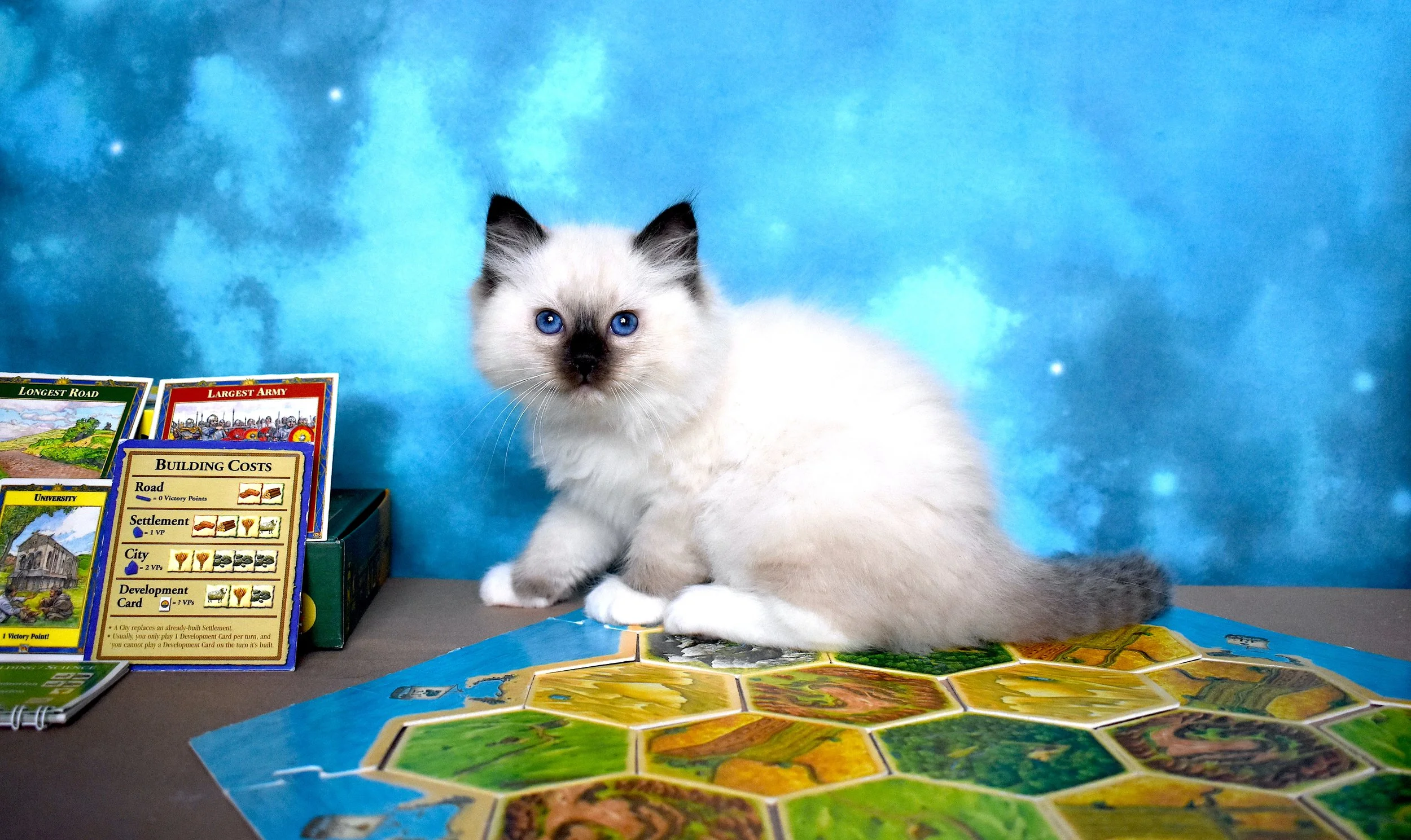 DSC_1072.JPG